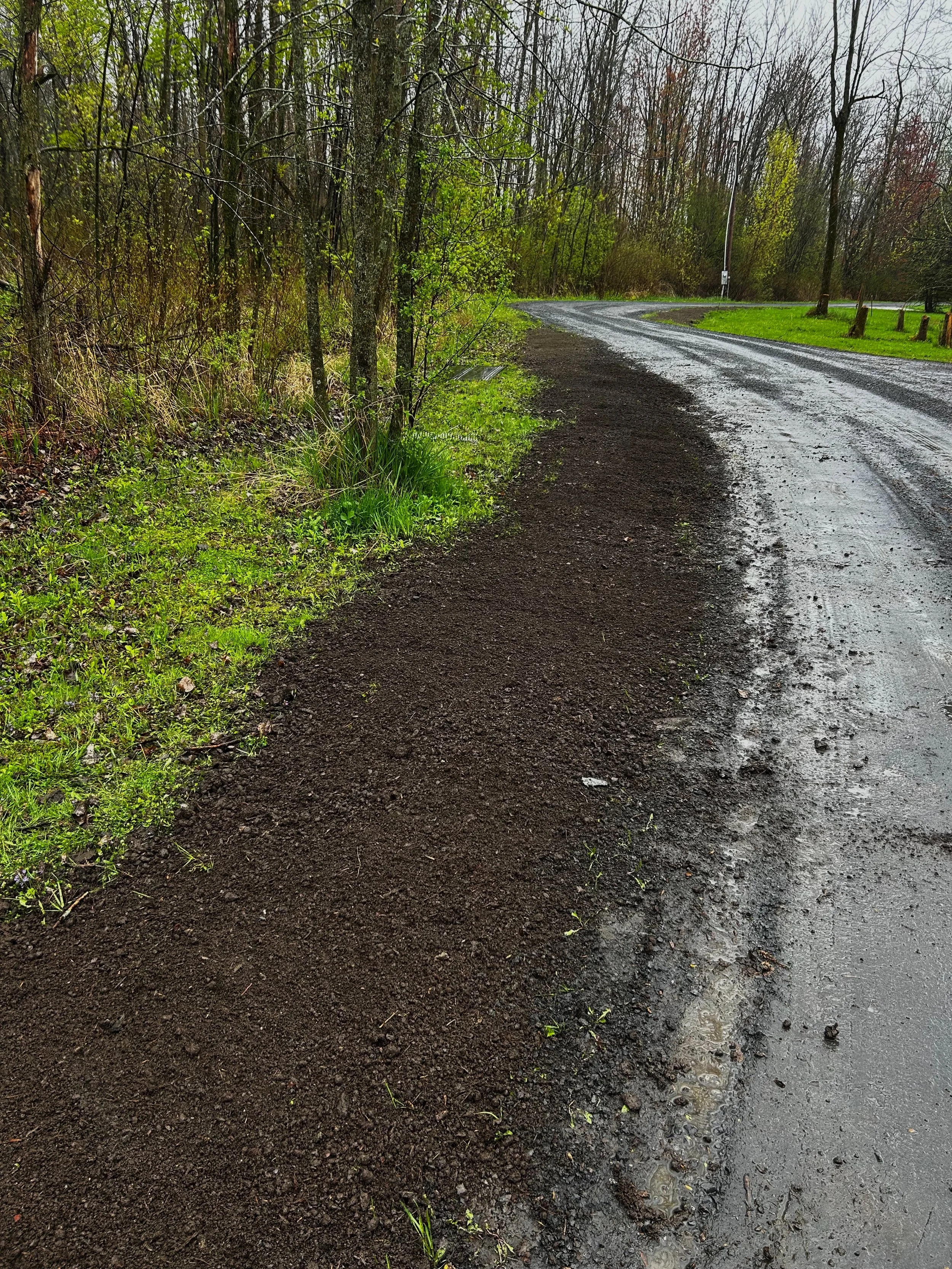 A dirt and gravel sidewalk along a curved street in a wooded area with trees and grass.