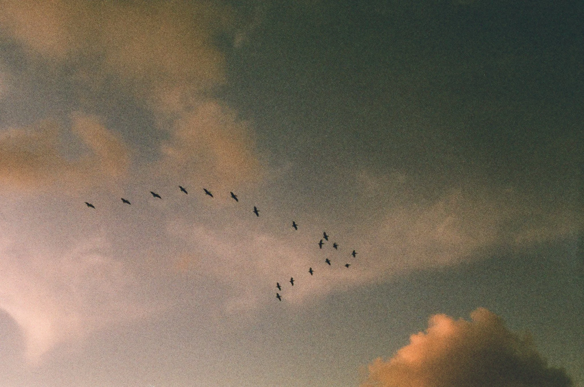 1-000701250019.jpg