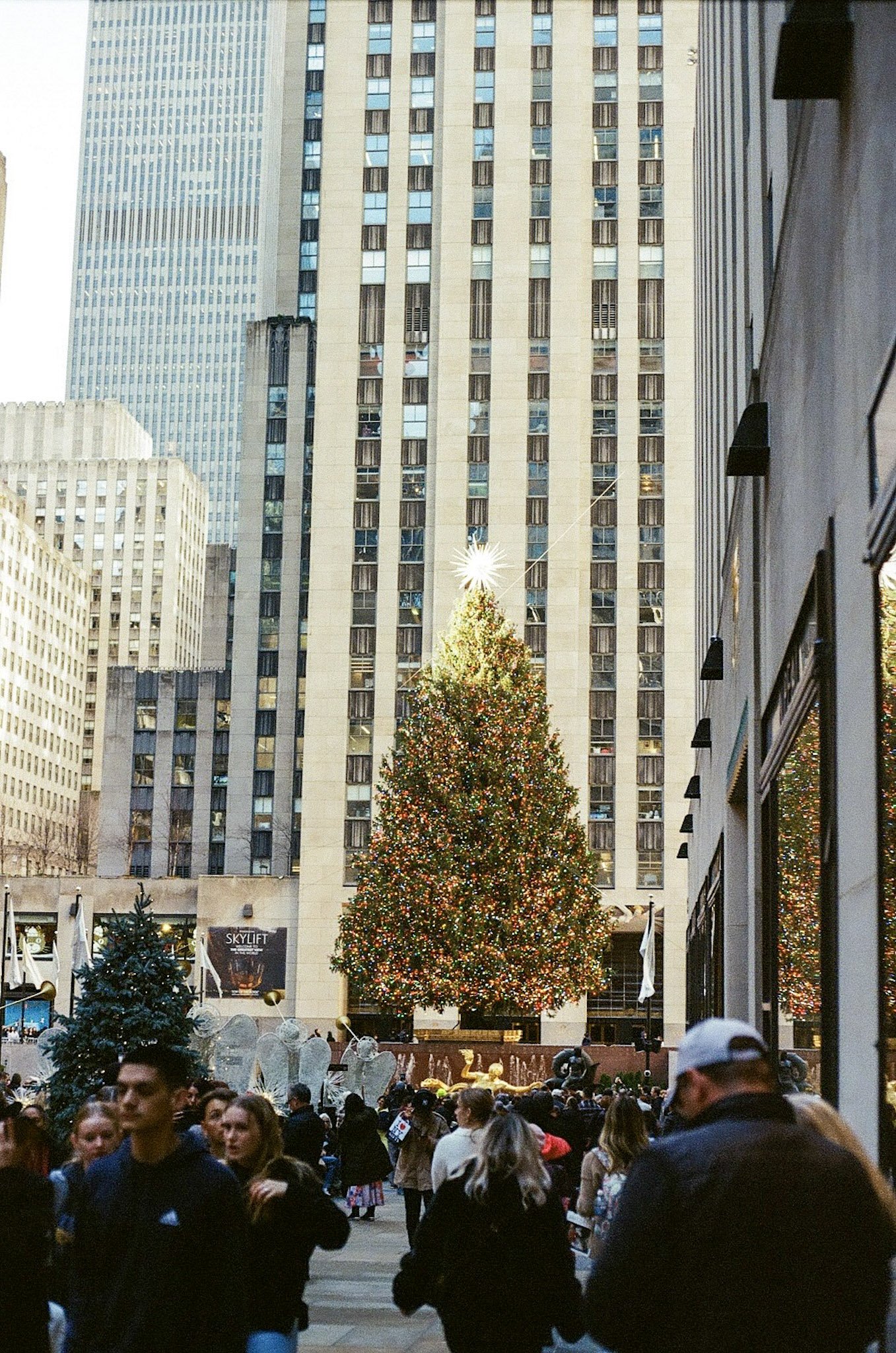 44-60488838_942492_a75d0dbe92ca9dfae838cc1b0a237190_full.jpg