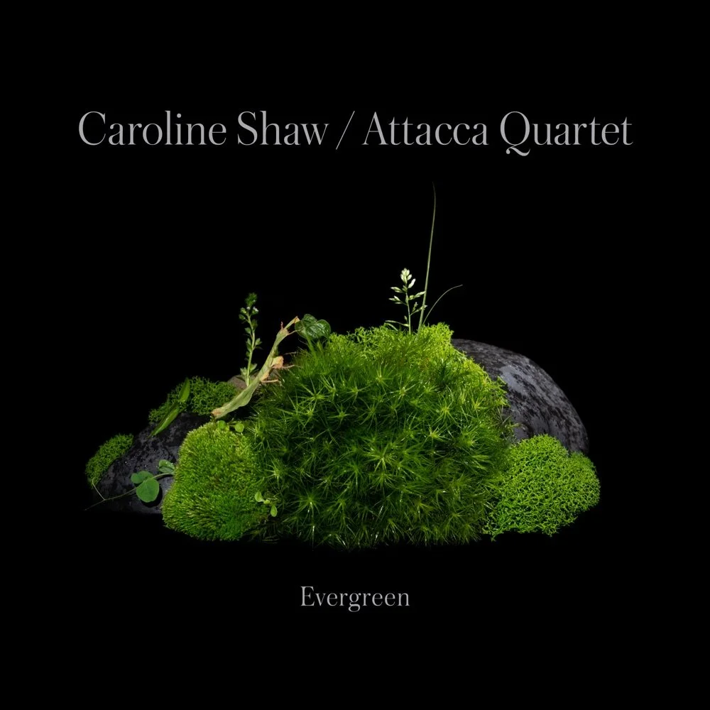 GRAMMY WINNER 2023 
Best Chamber Music/Small Ensemble Performance  
 "Evergreen" 
 Caroline Shaw / Attaca Quartet  
Release: Atmos 