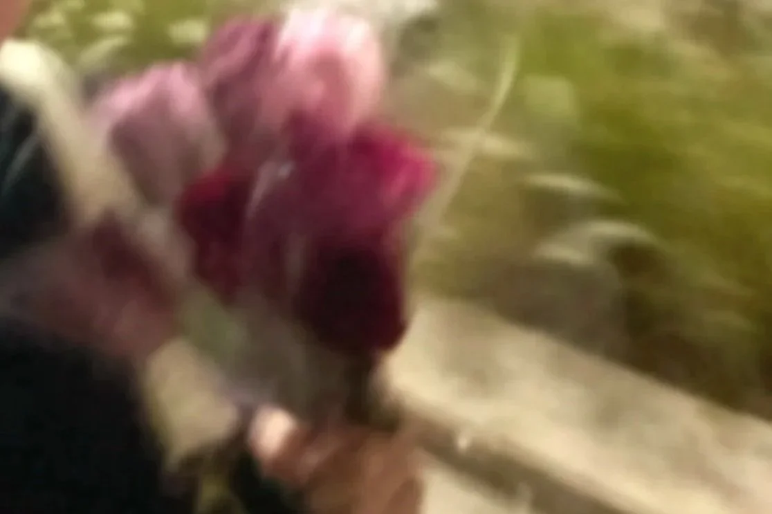 gift of a rose.