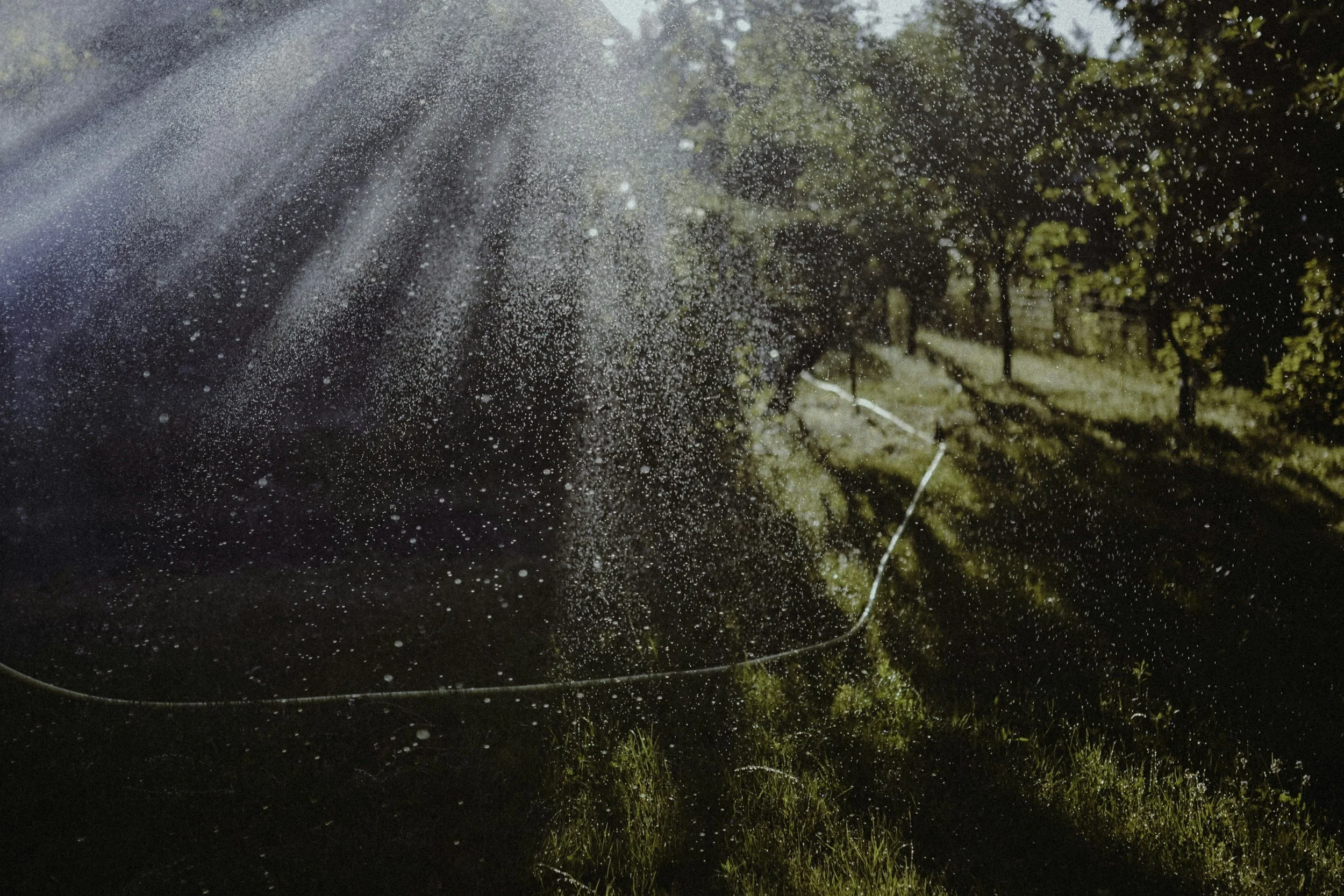 Why Humidity Makes You Heavy, Foggy, and Slow