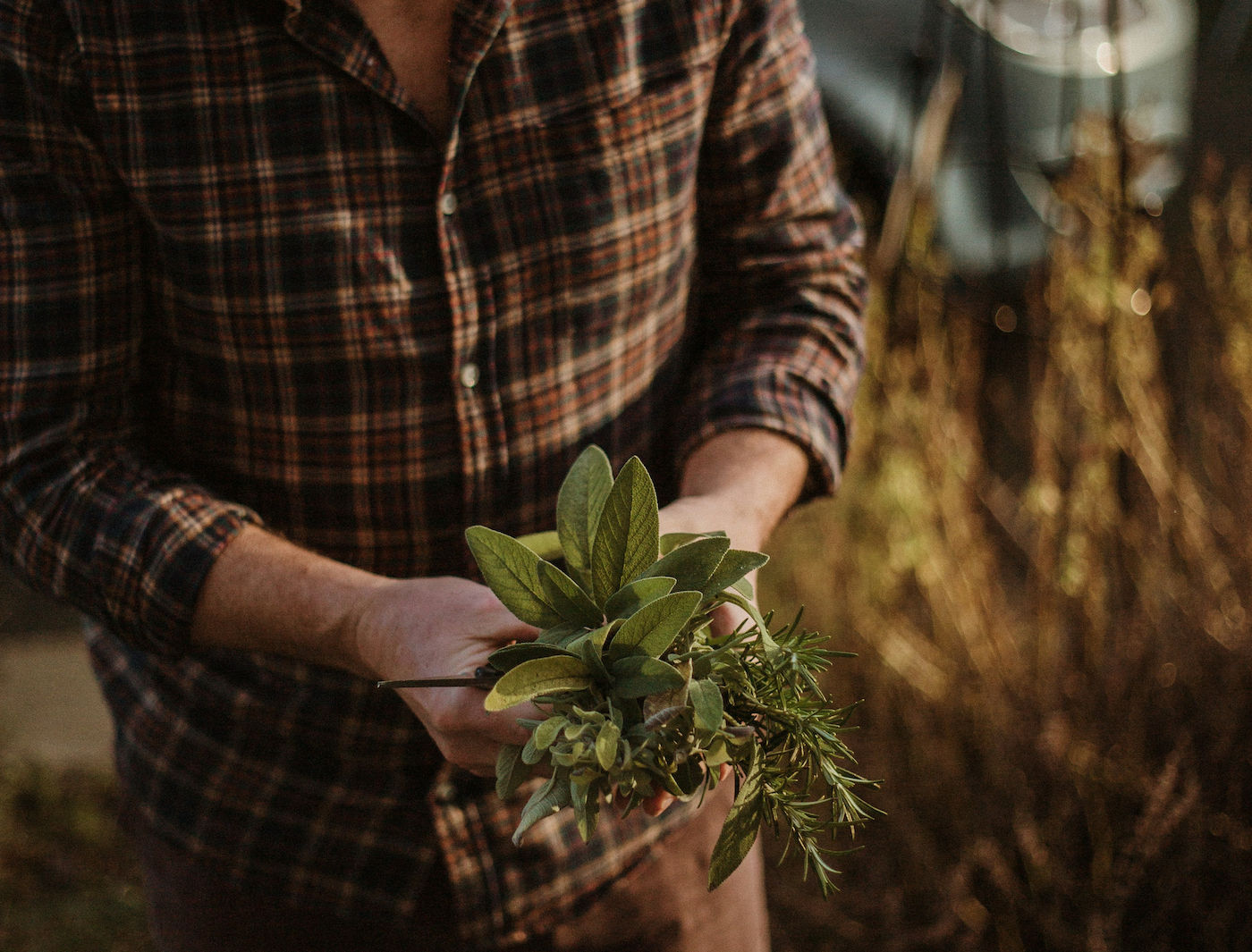 Why You Feel More Irritable in Spring (and What to Do About It)