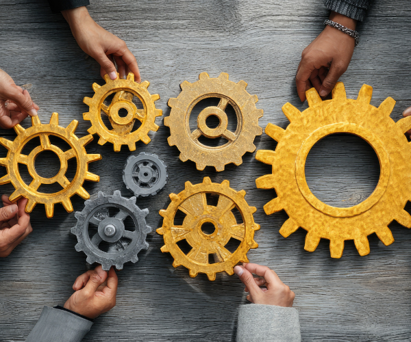 What “Strong Culture” Actually Looks Like in a Co-op