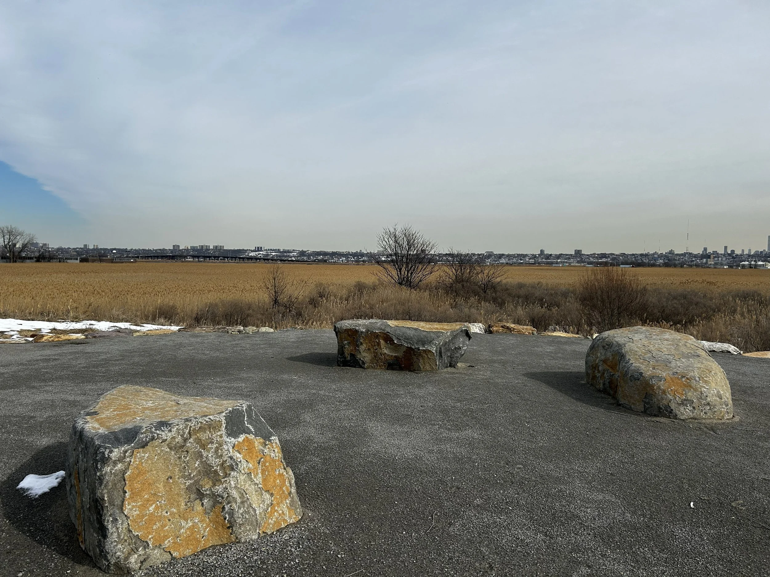 meadowland pic2.jpeg