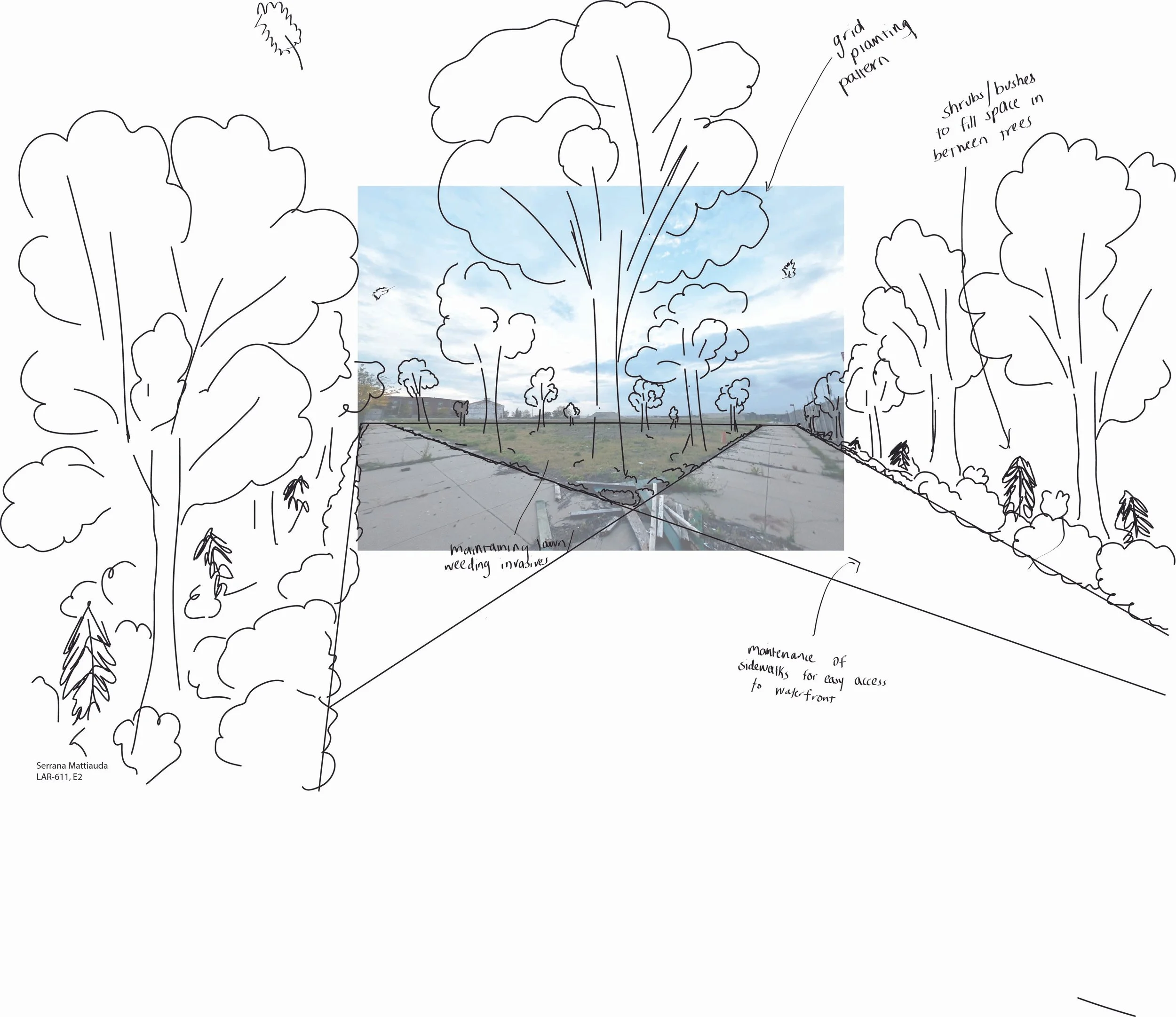 E2 Final submission pic 5 - grid planting.jpg