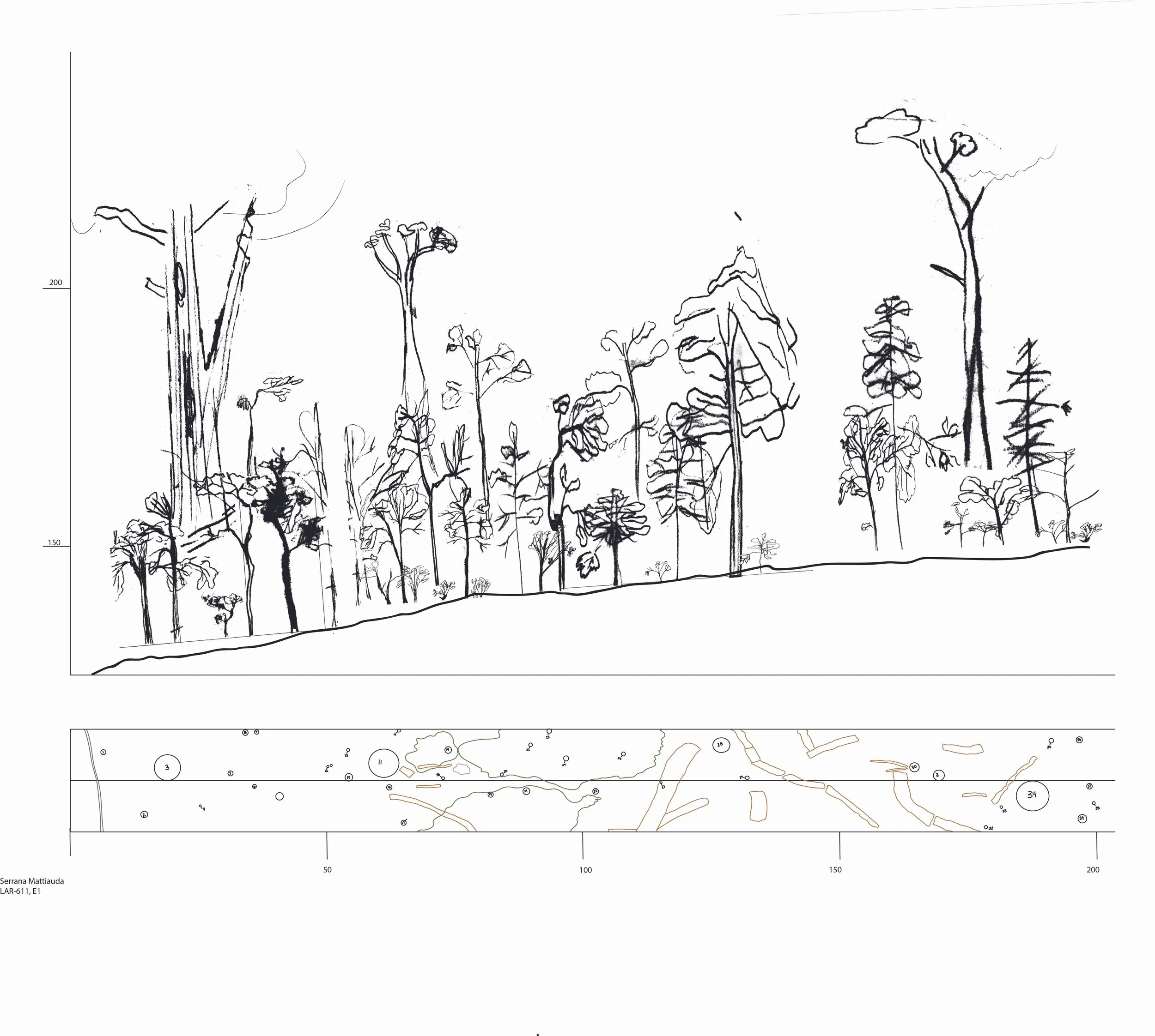 E1 Final Submission transect.jpg