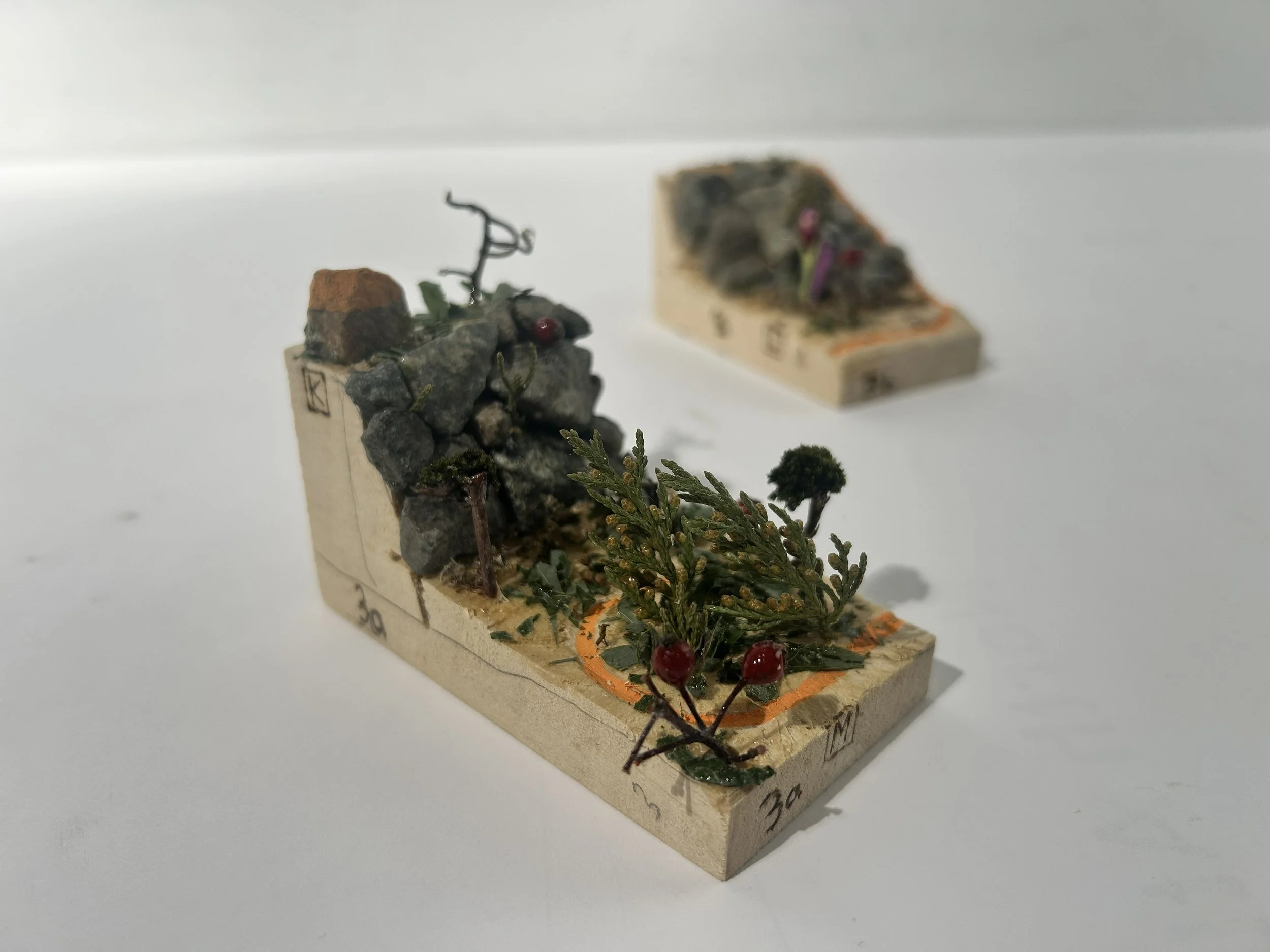 Bull HIll Park model 5.jpeg