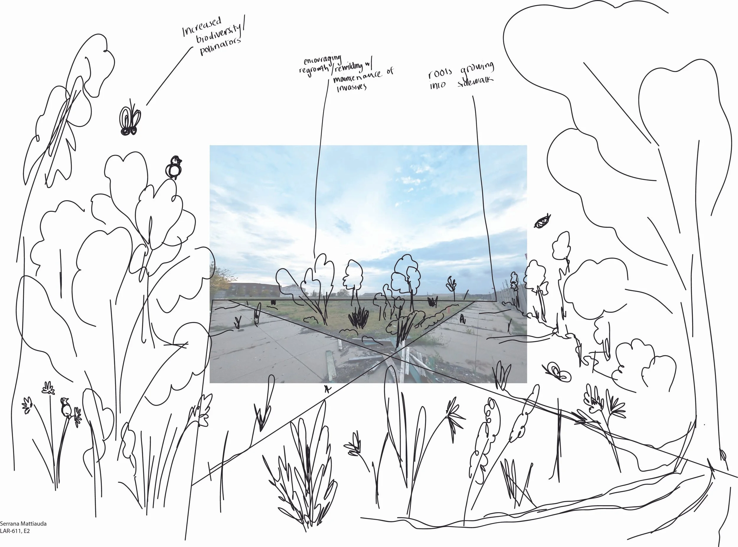 E2 Final submission pic 2 -wild planting.jpg