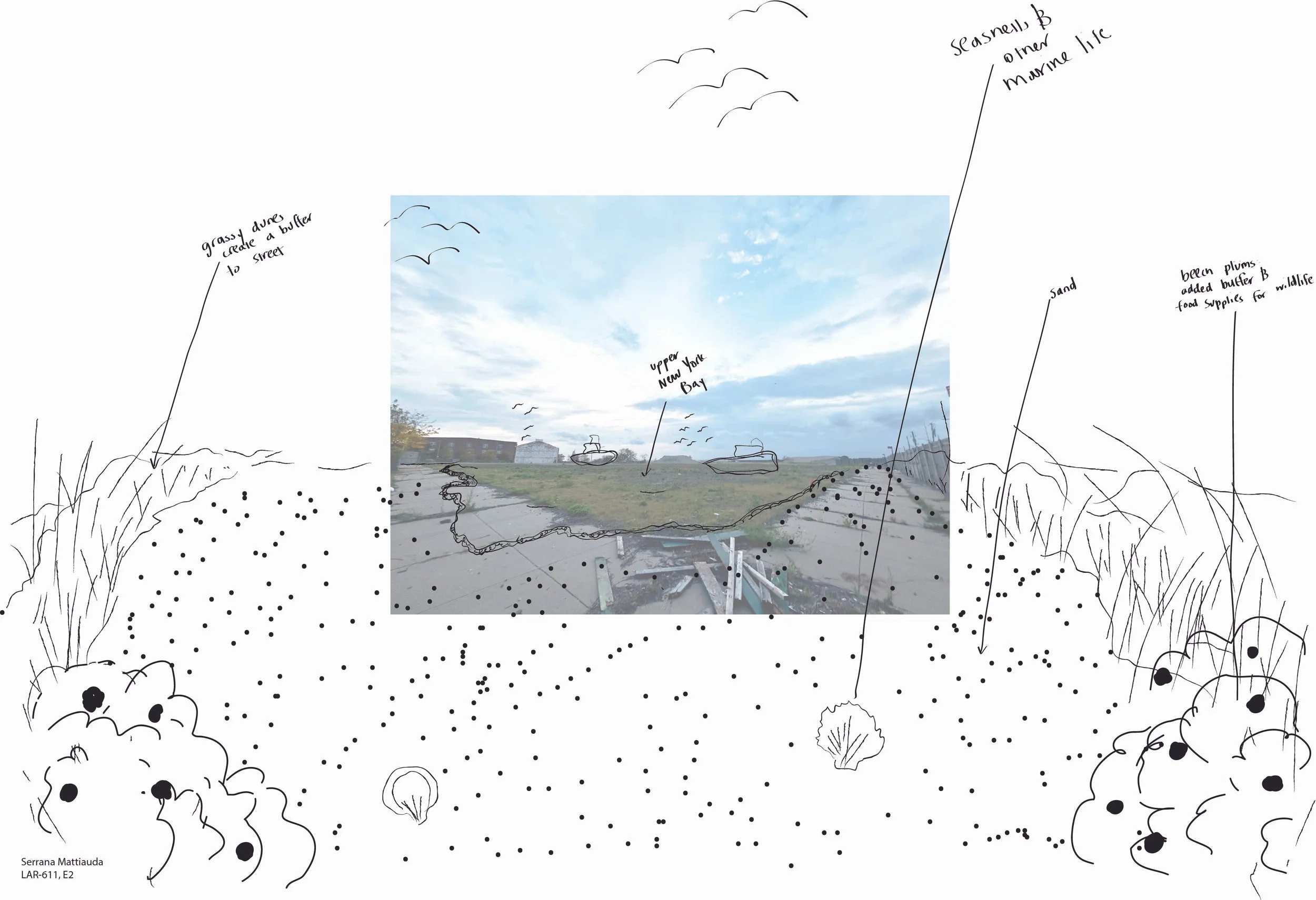 E2 Final submission pic 4 - beach.jpg