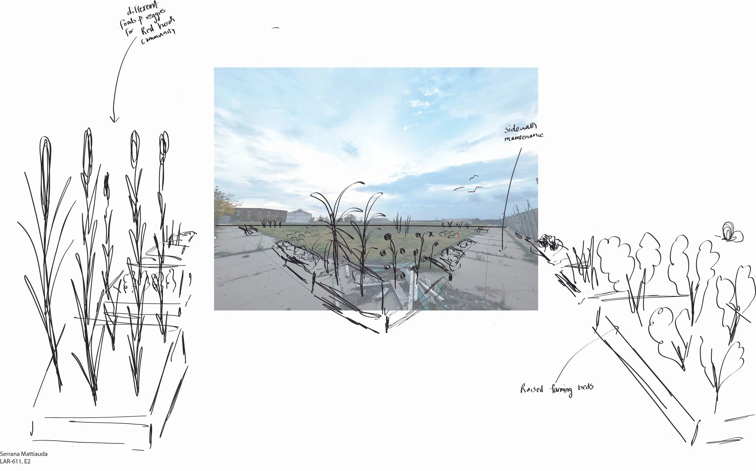 E2 Final submission pic 6 - farm.jpg