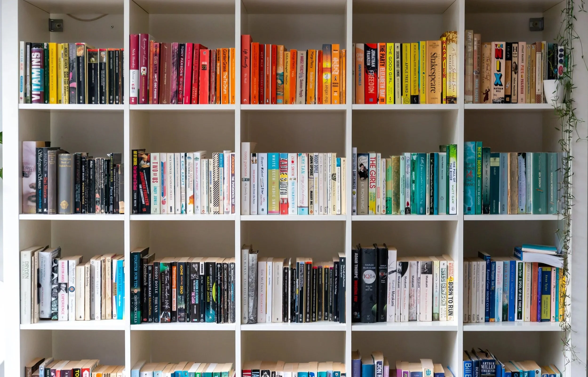 Books organized neatly on built in shelves for a Maryland home office.