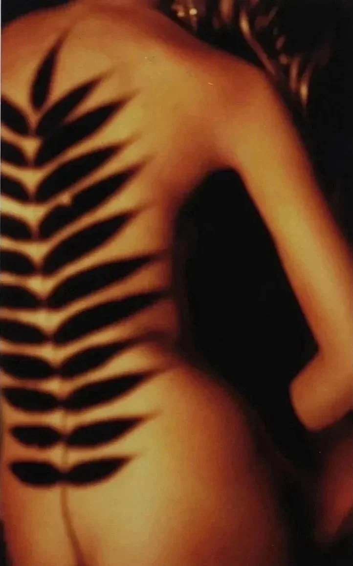 Shadow play and projection of  natural elements  for a college photography project. Drawing inspiration from the works of photographer, Francesca Woodman.