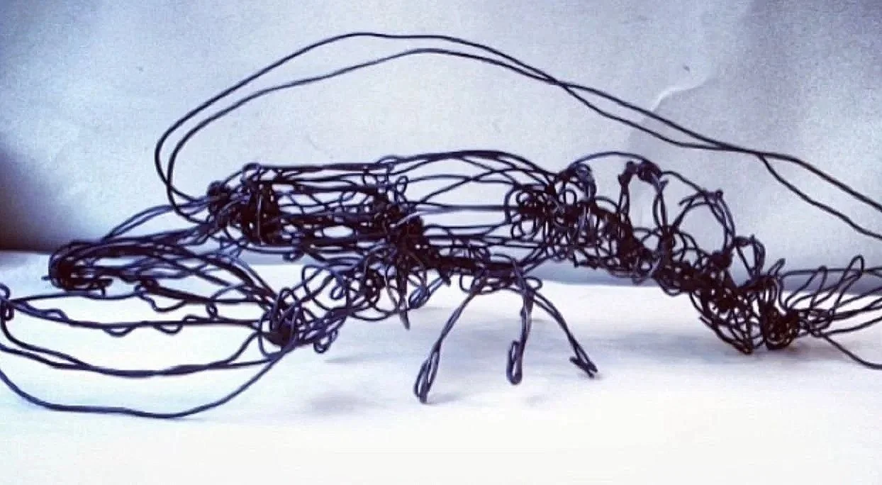 Line drawing in the  third dimension .
My lobster sculpture from 2007. He moved like one, too! 