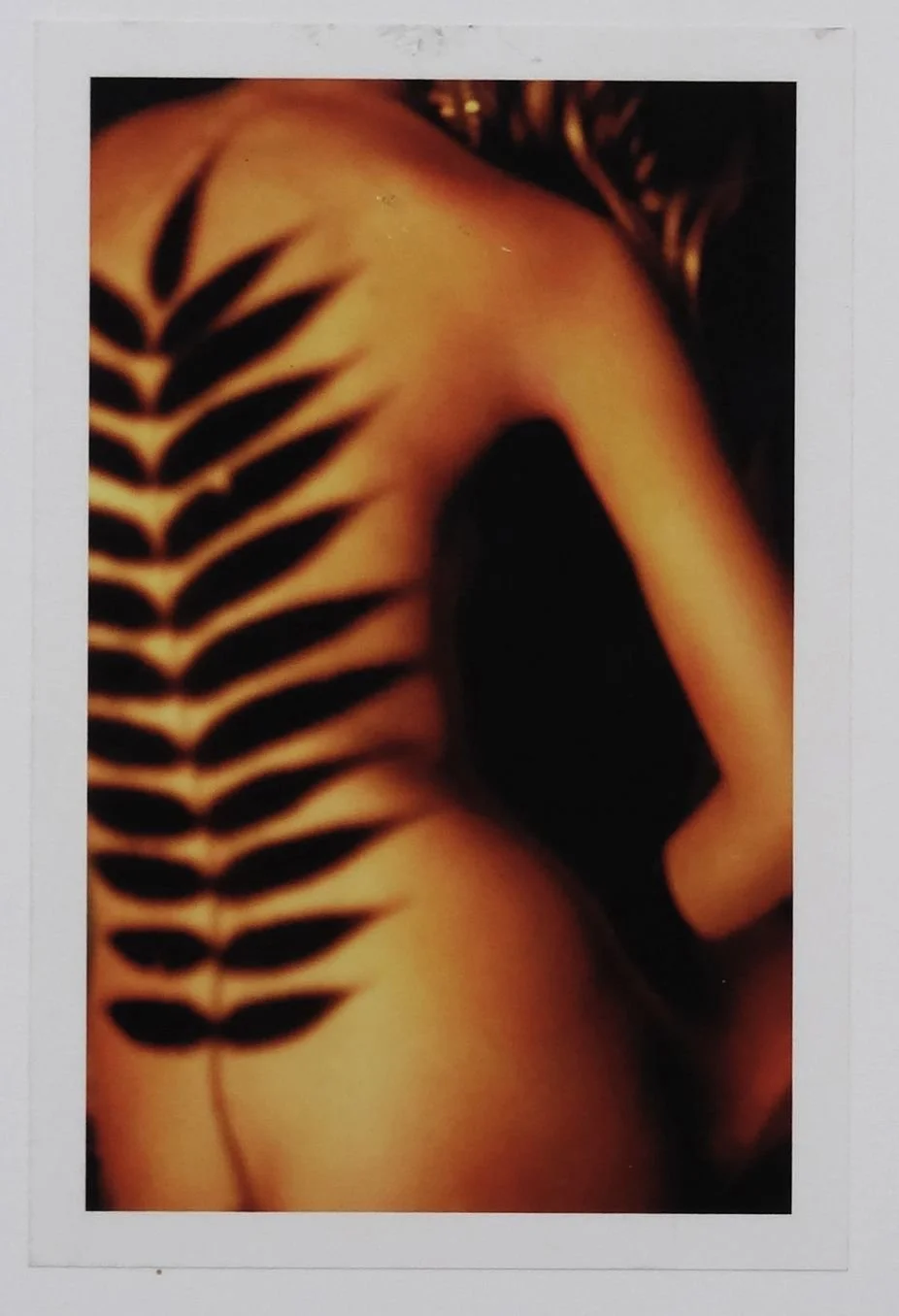 My work: Shadow play and projection of
natural elements in college. Drawing
inspiration from the works of photographer,
Francesca Woodman.