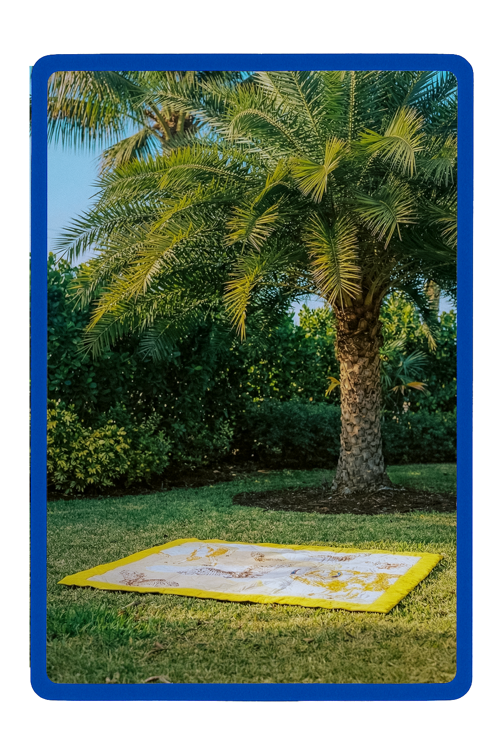 NB quilit_01_blue frame.png