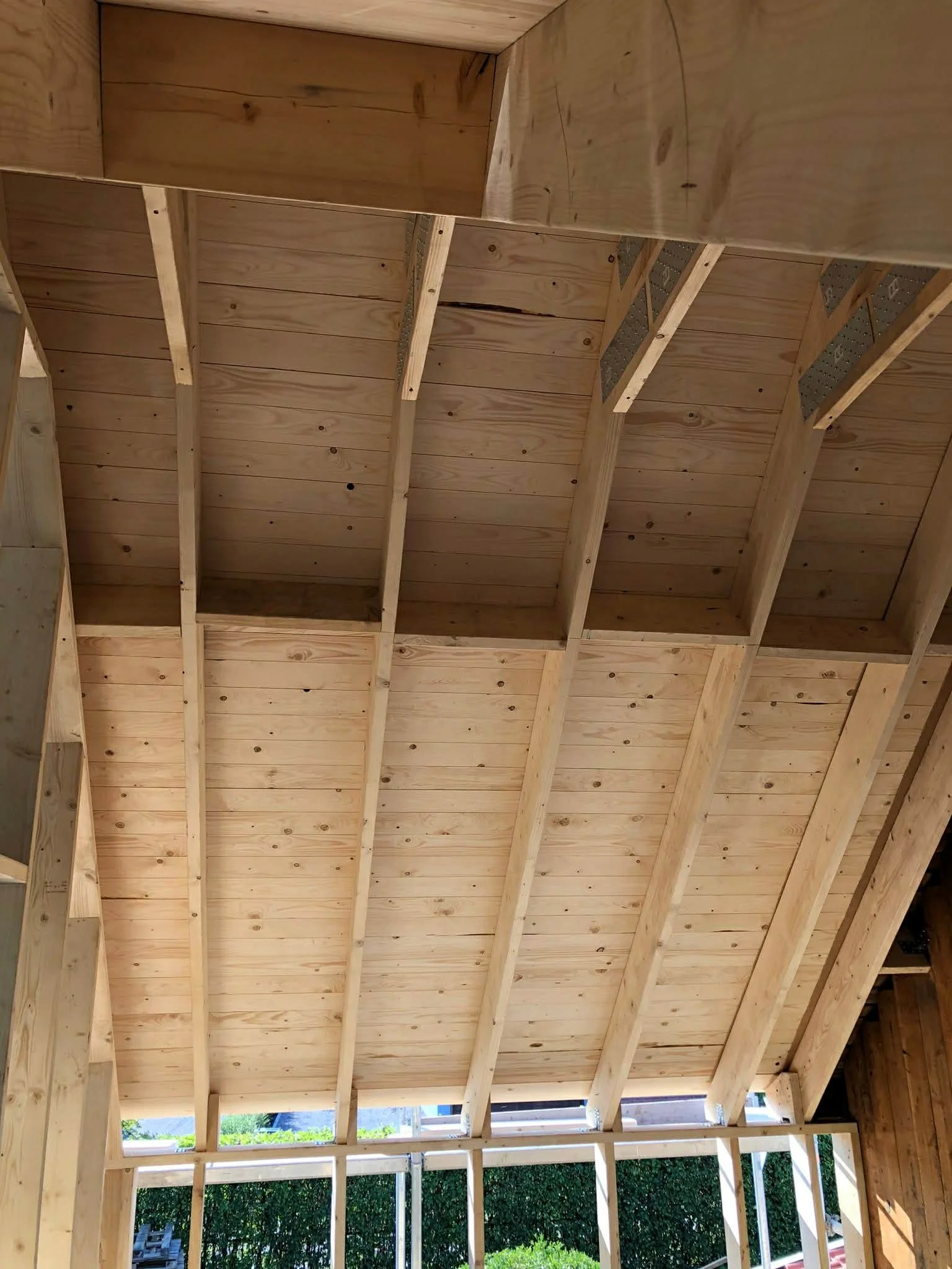 41866474-53db-4651-9a82-612d3f41d02b (1).jpg