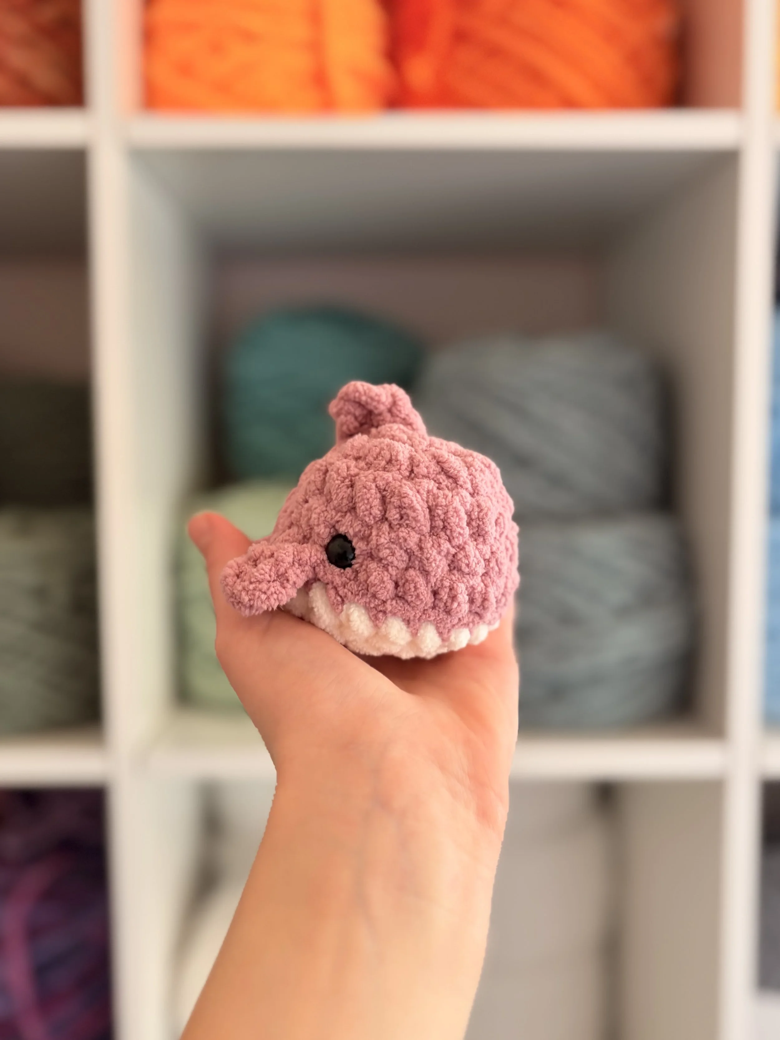 Mini Pink Shark