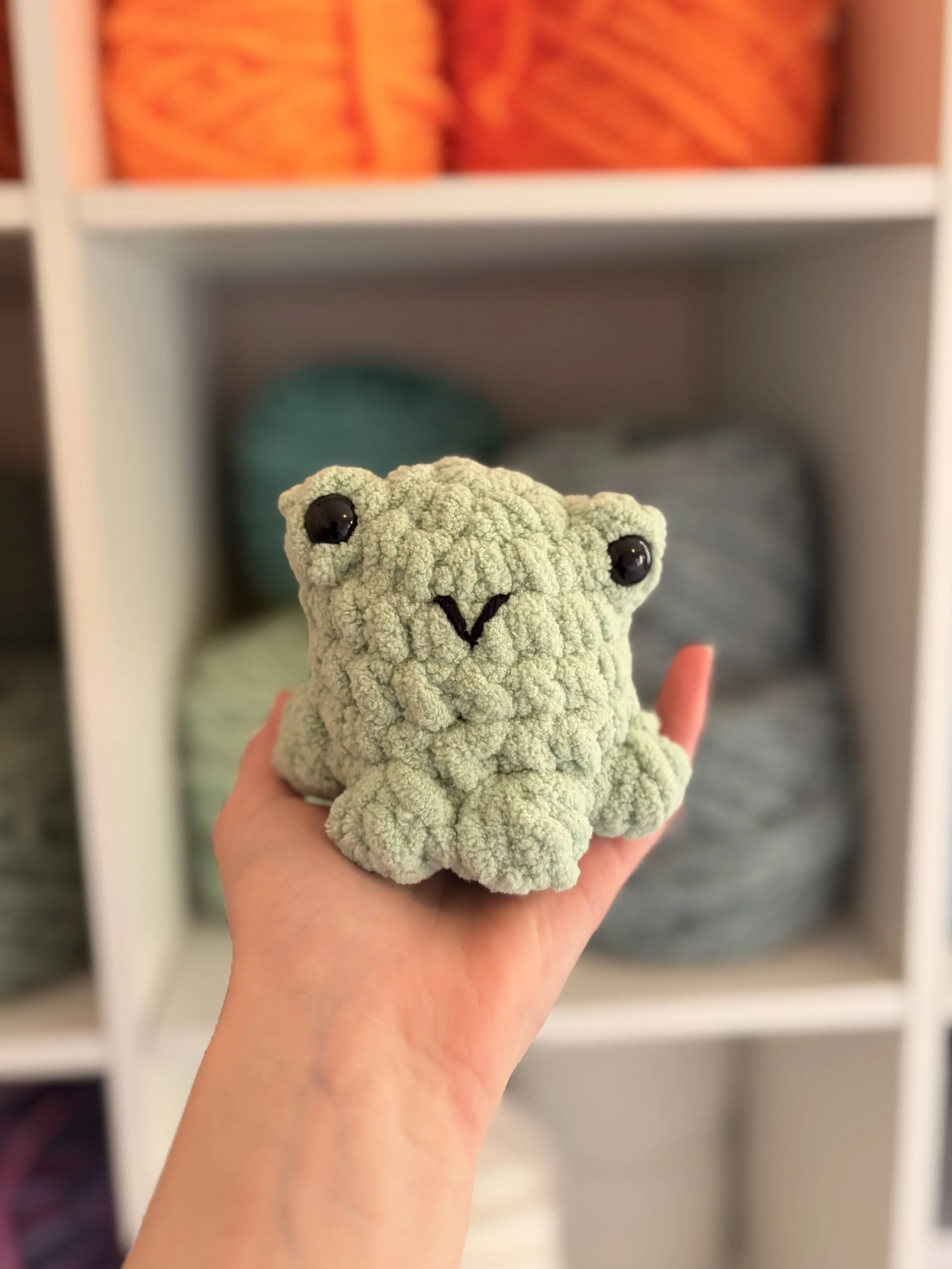 Light Green Pocket Frog