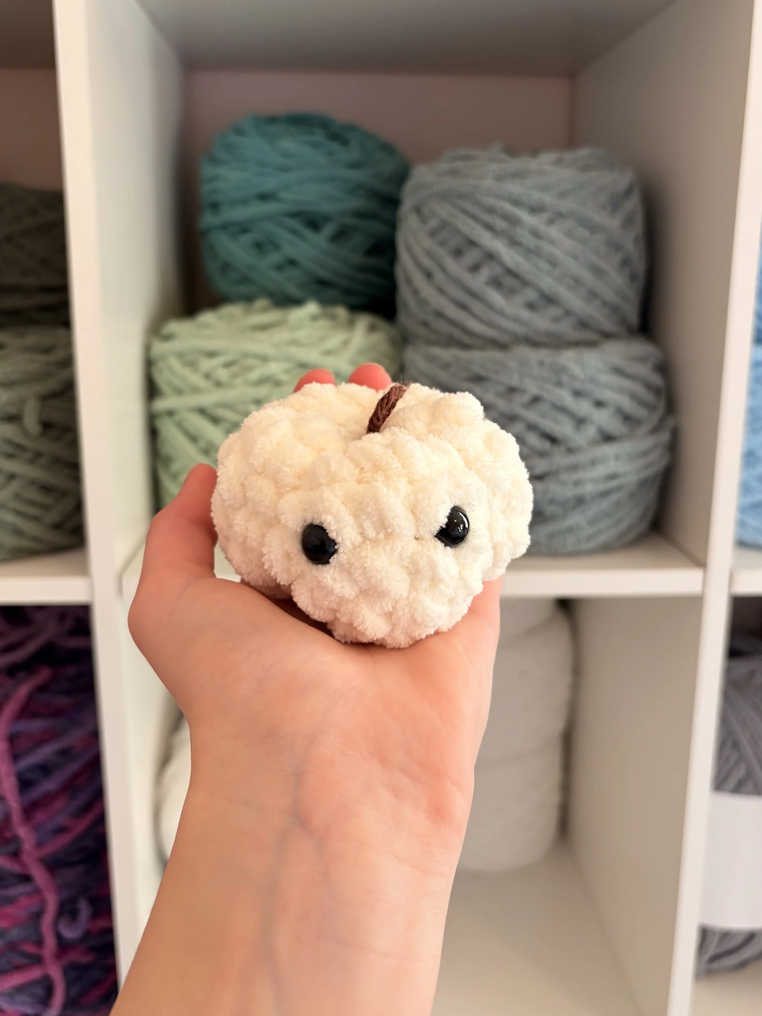 Mini White Pumpkin With Eyes