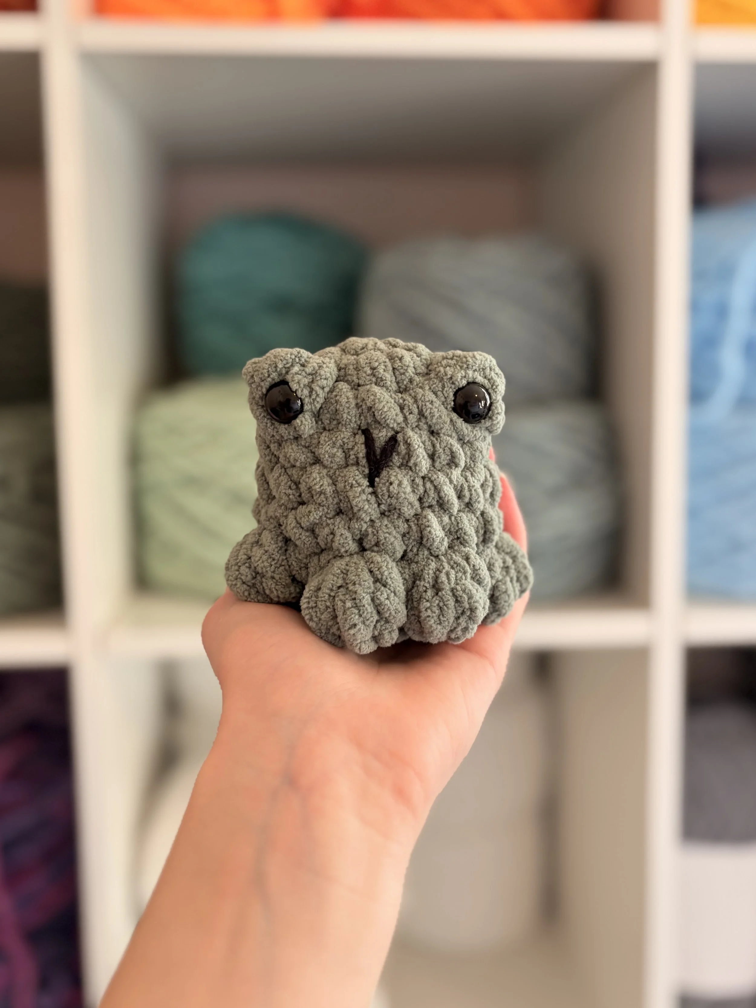 Dusty Green Pocket Frog