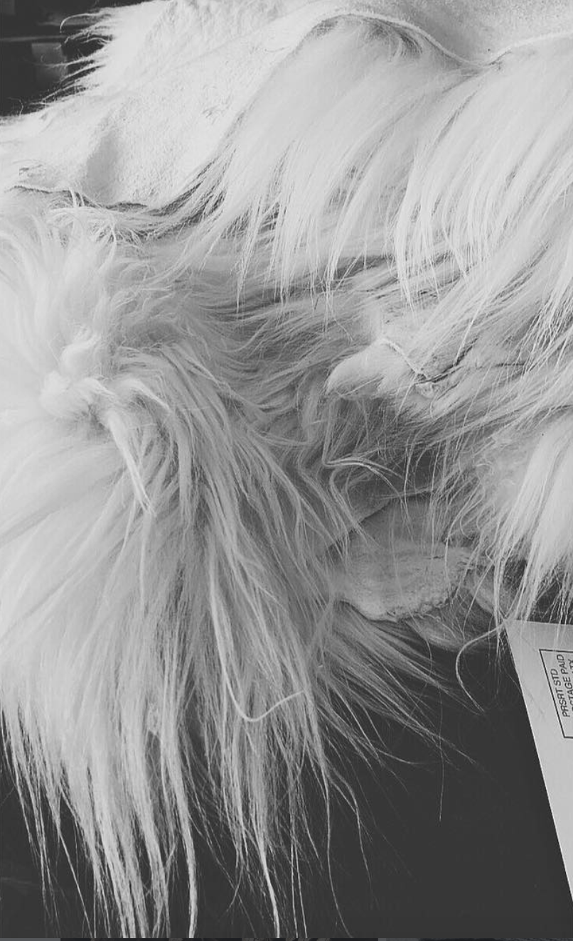 Screenshot 2026-01-27 at 12.40.00 PM.png