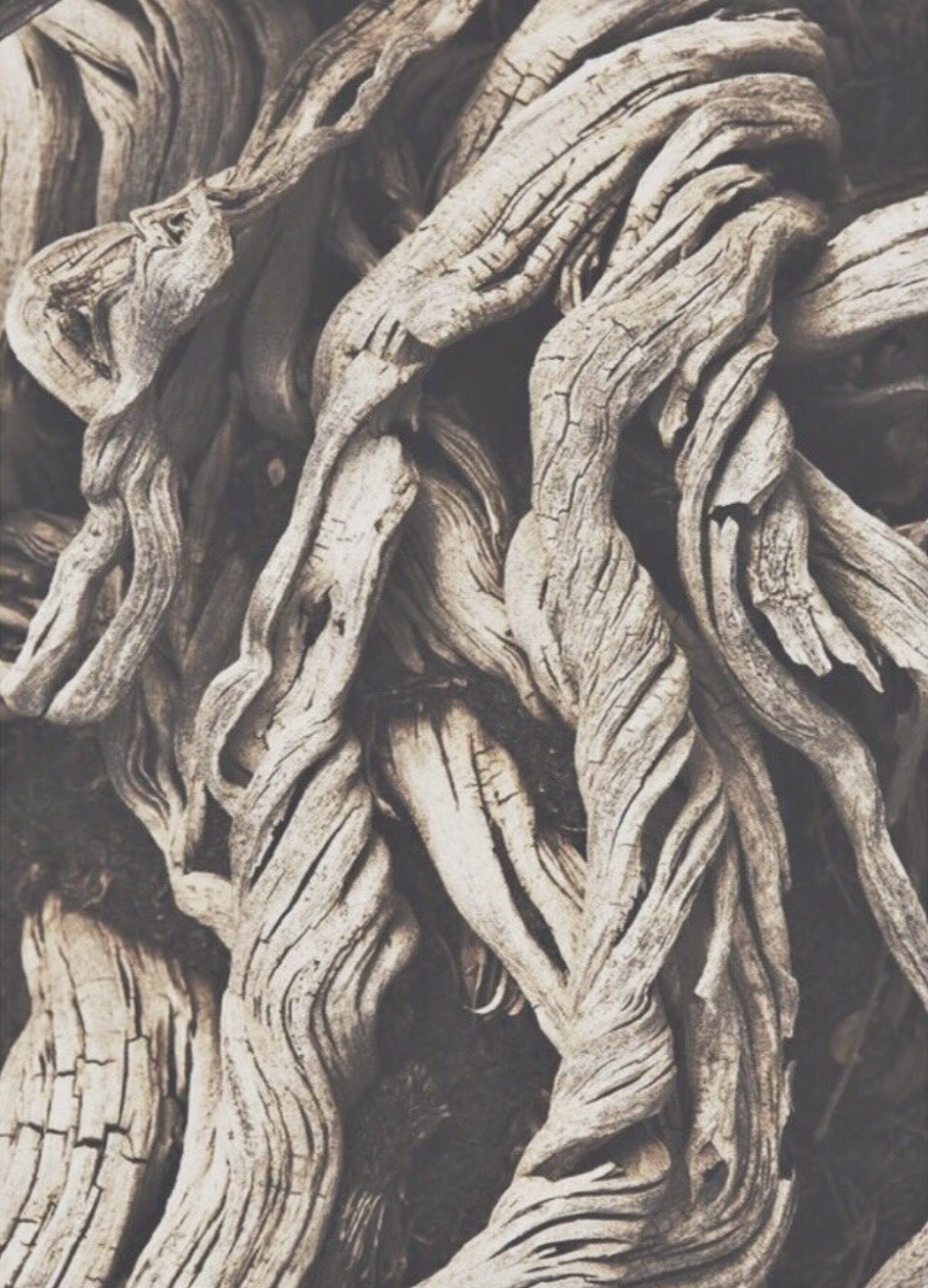 Screenshot 2026-01-26 at 4.53.47 PM.png