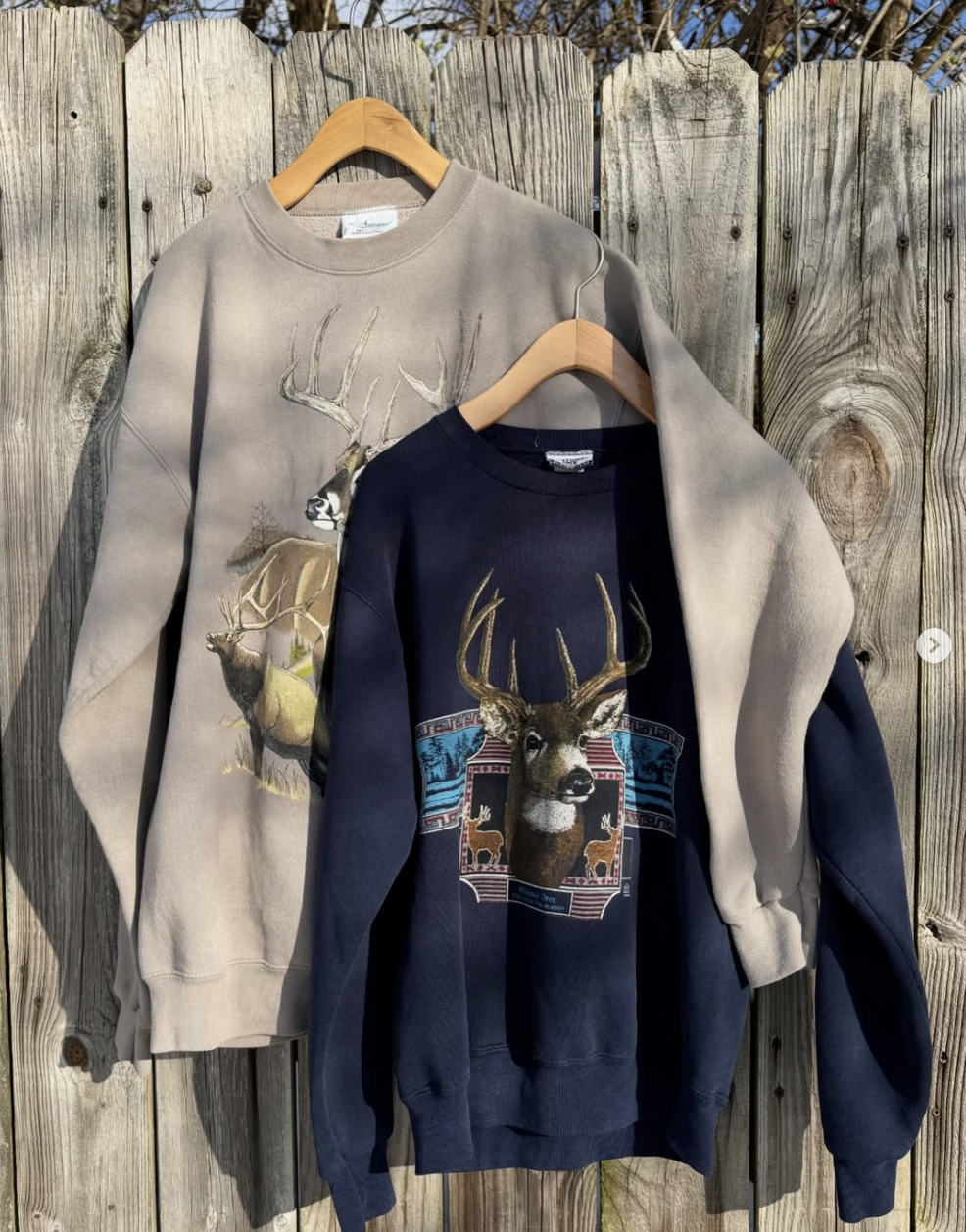 Screenshot 2026-01-30 at 1.01.32 PM.png