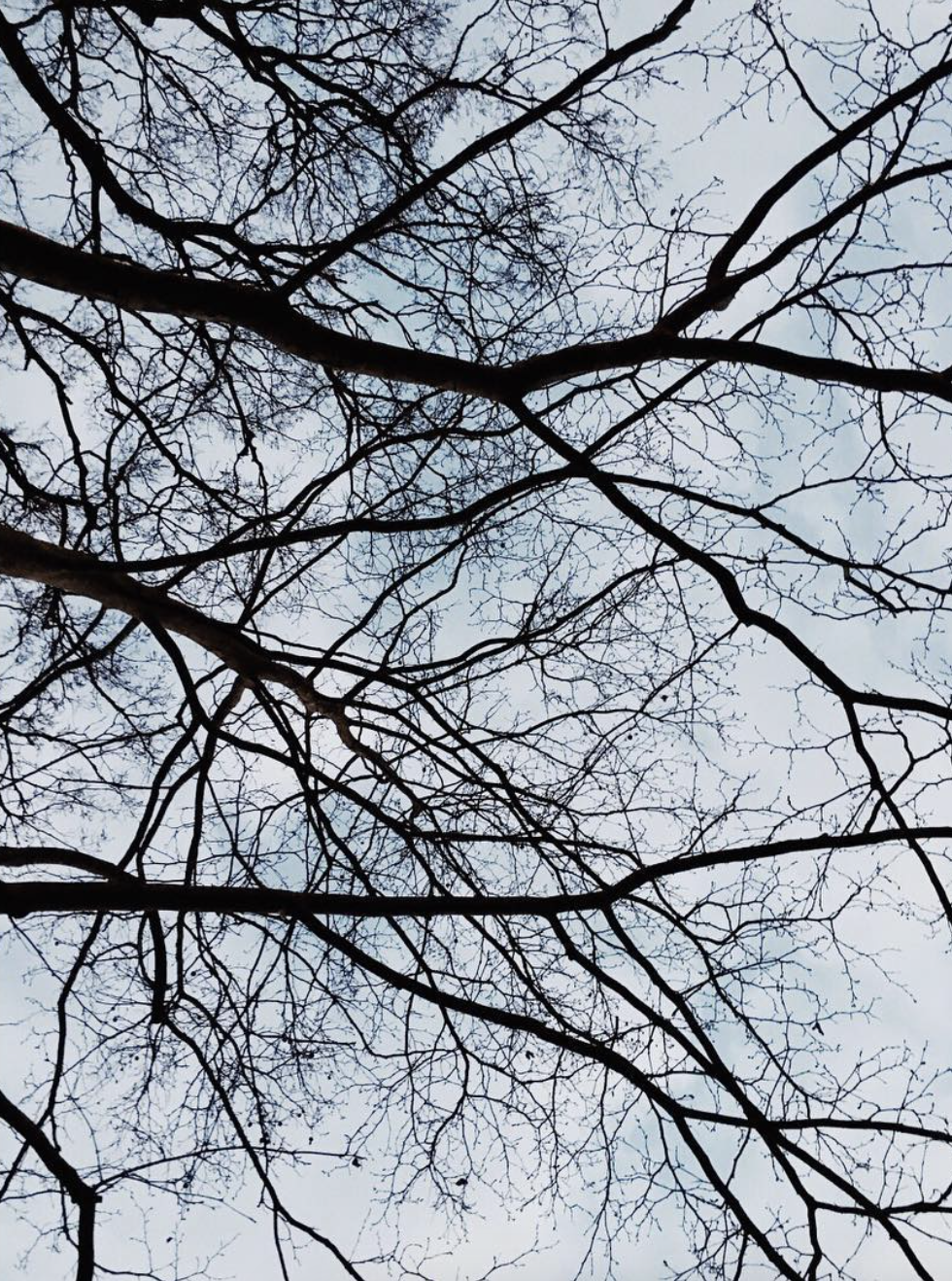 Screenshot 2026-01-26 at 4.54.06 PM.png