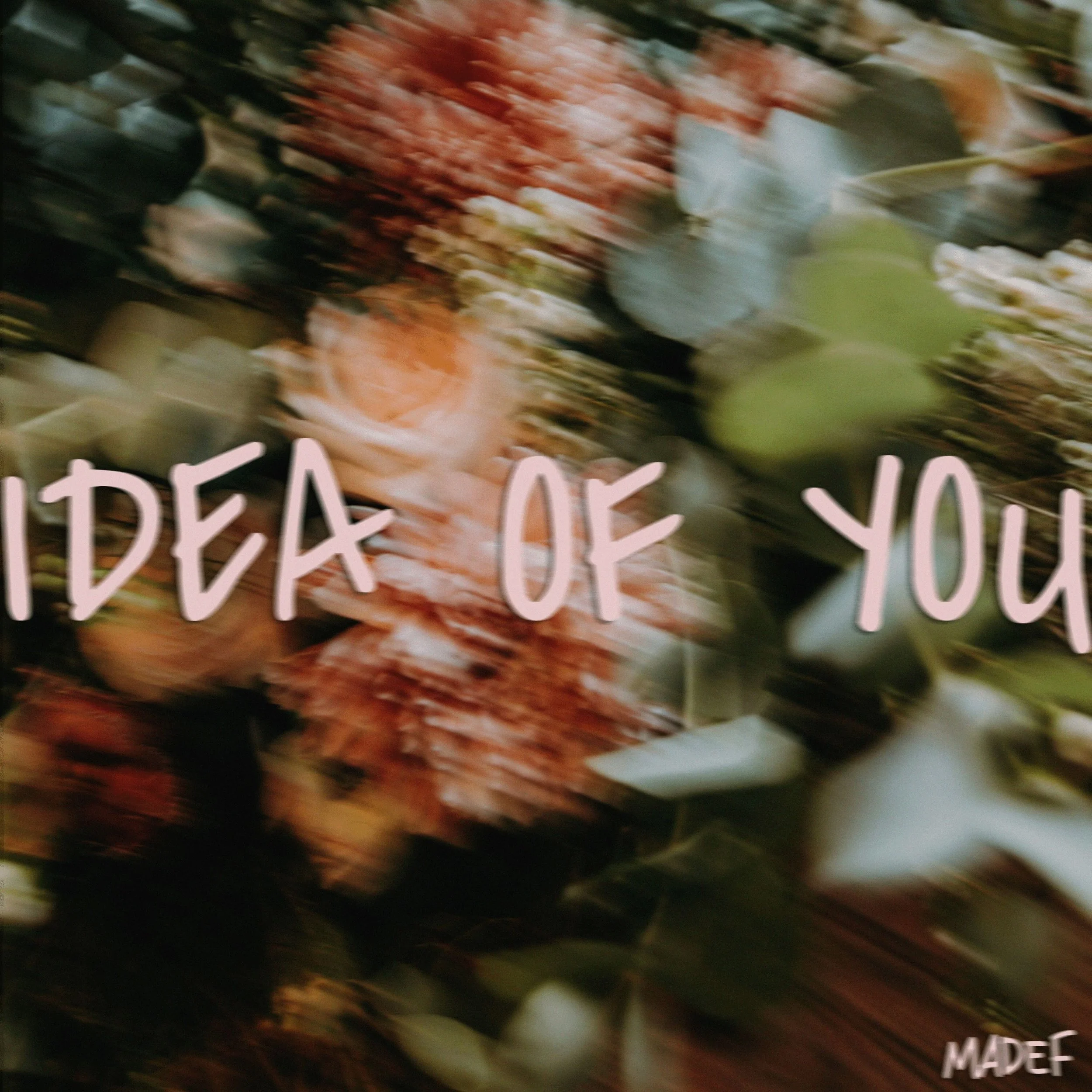 Idea of You