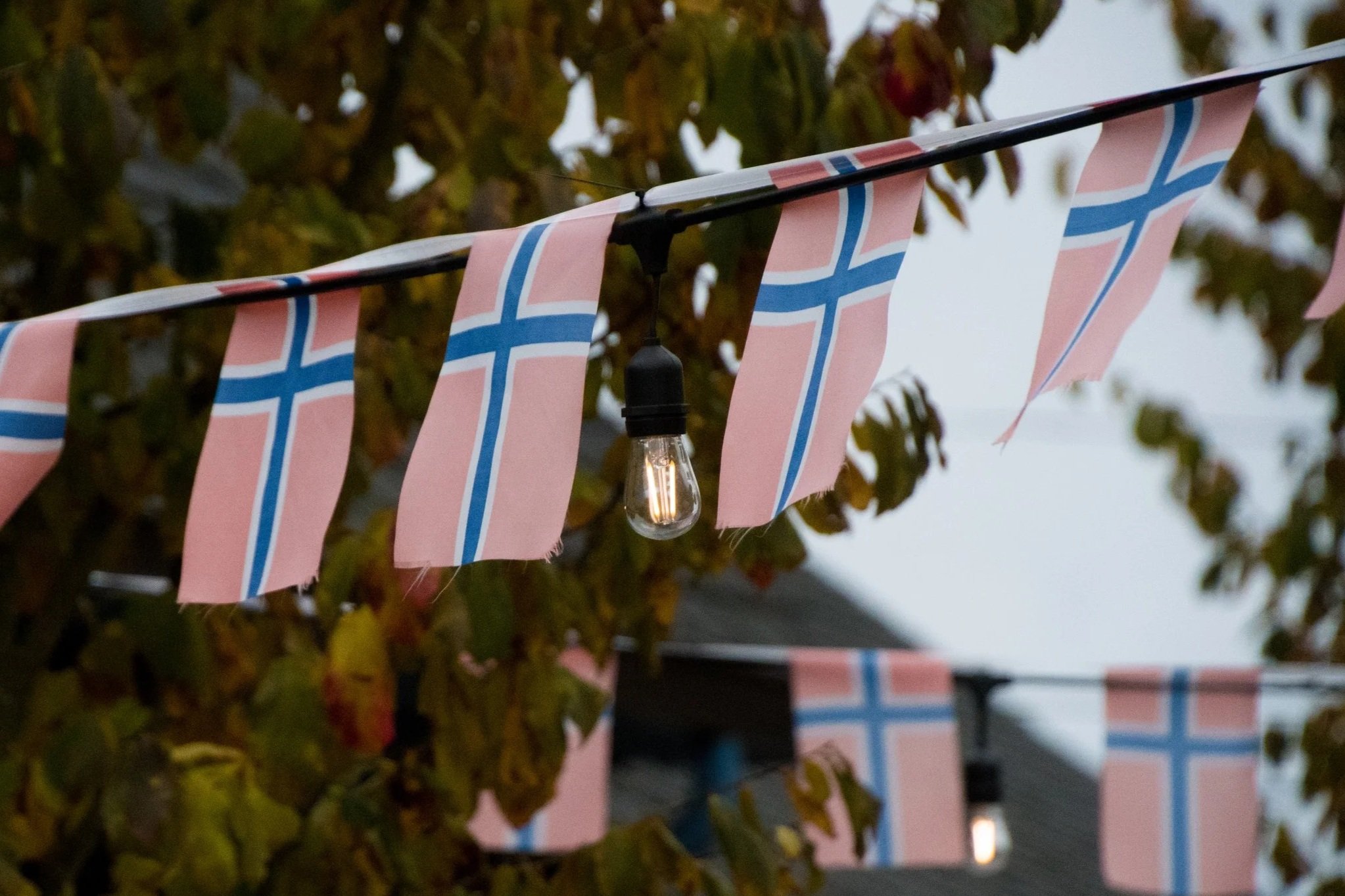 String of small flags with the Norwegian flag design hanging outdoors with blurred autumn leaves in the background.