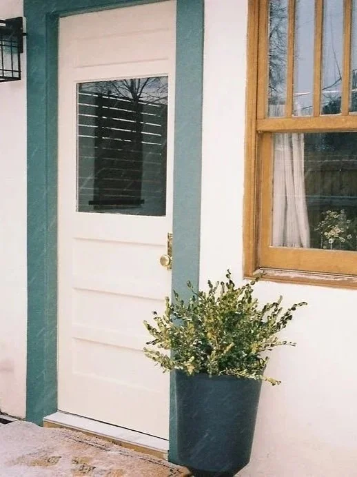 White door with a window, next to a window with wooden framing, and a large potted plant outside.
