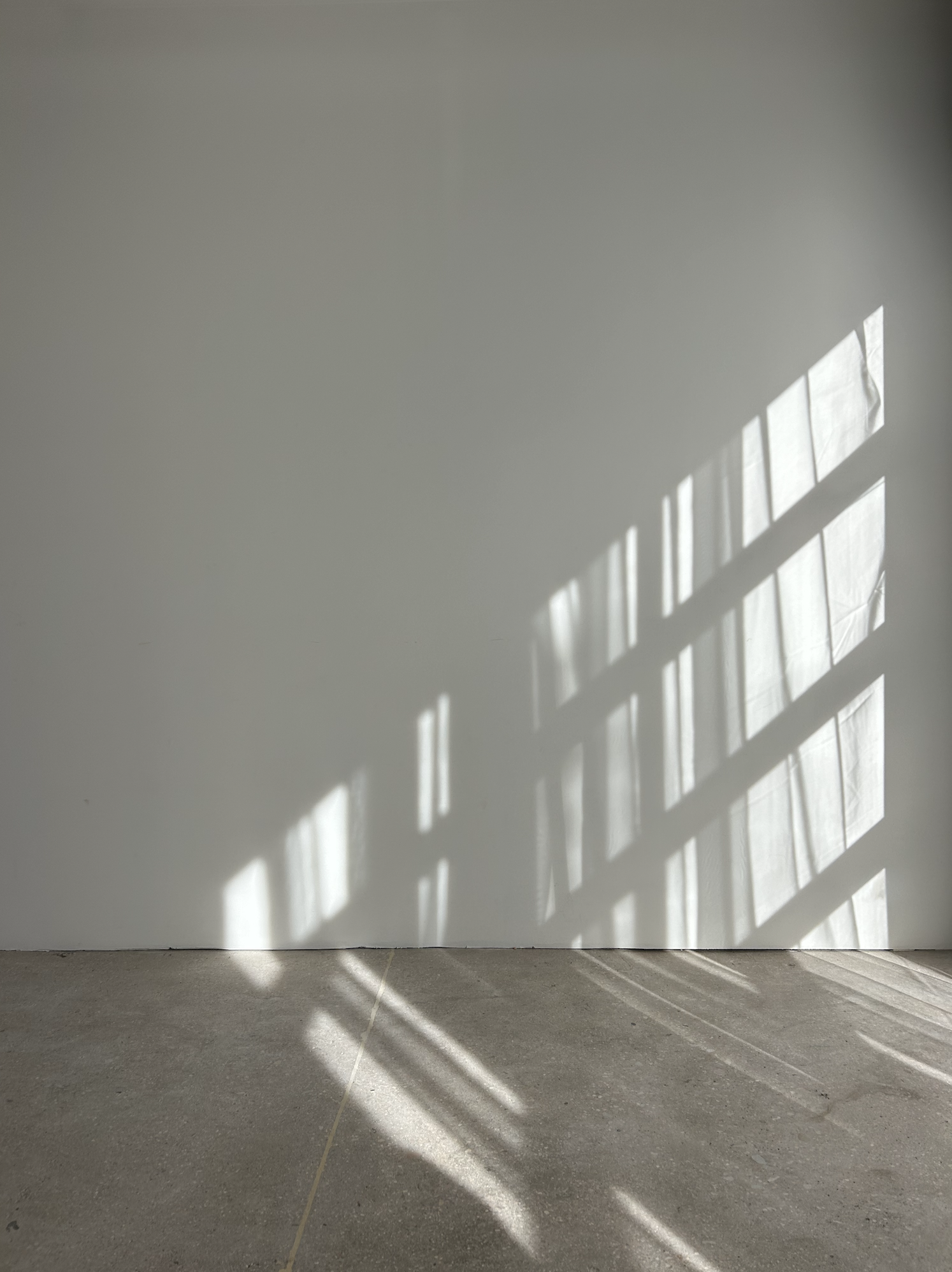 Sunlight casting shadows of window panes on a plain white wall and gray floor.