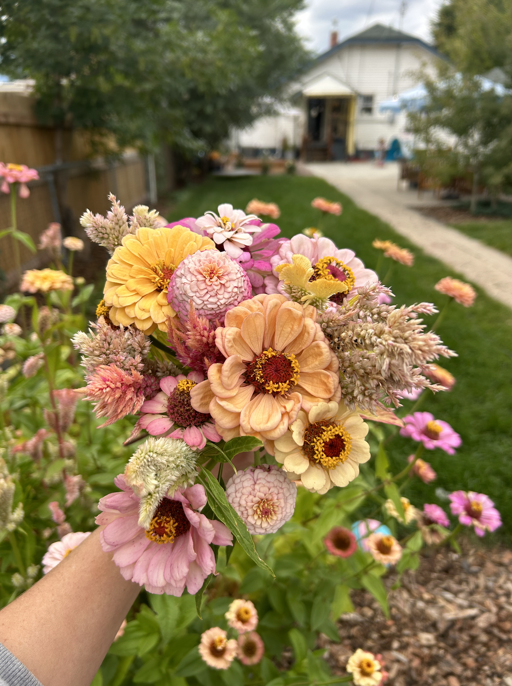 A person's hand holding a colorful bouquet of flowers, with a backyard house, trees, a pathway, and a grassy lawn in the background.