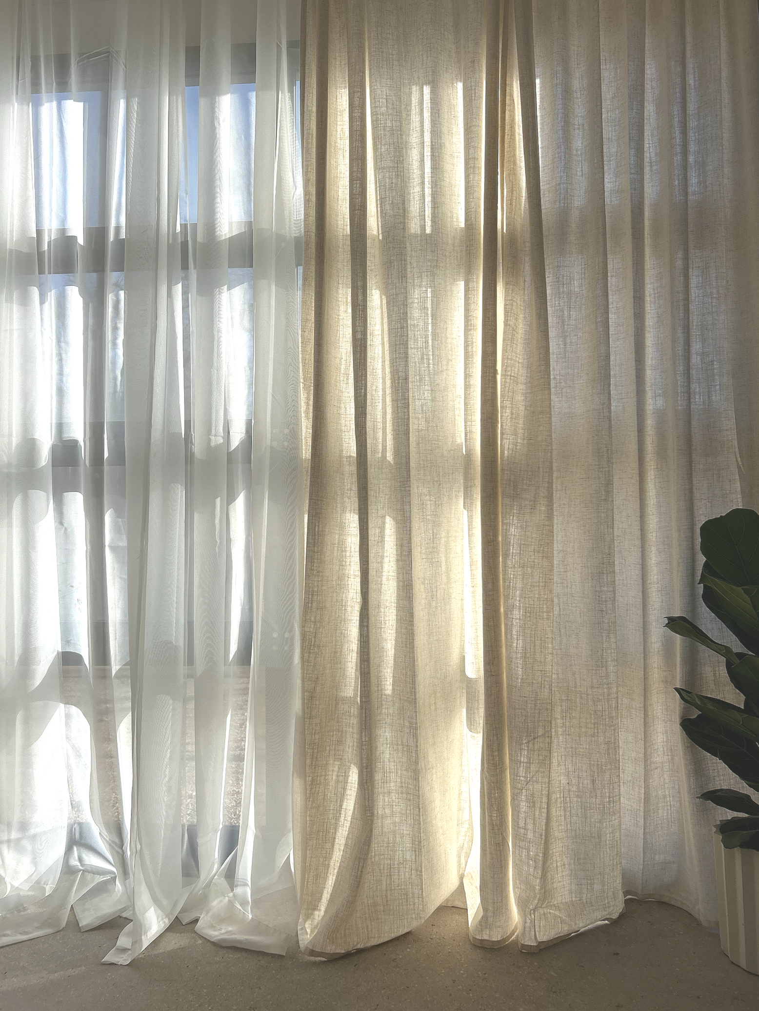 Sunlight filters through sheer white and beige curtains covering a window, with a potted green plant to the right.