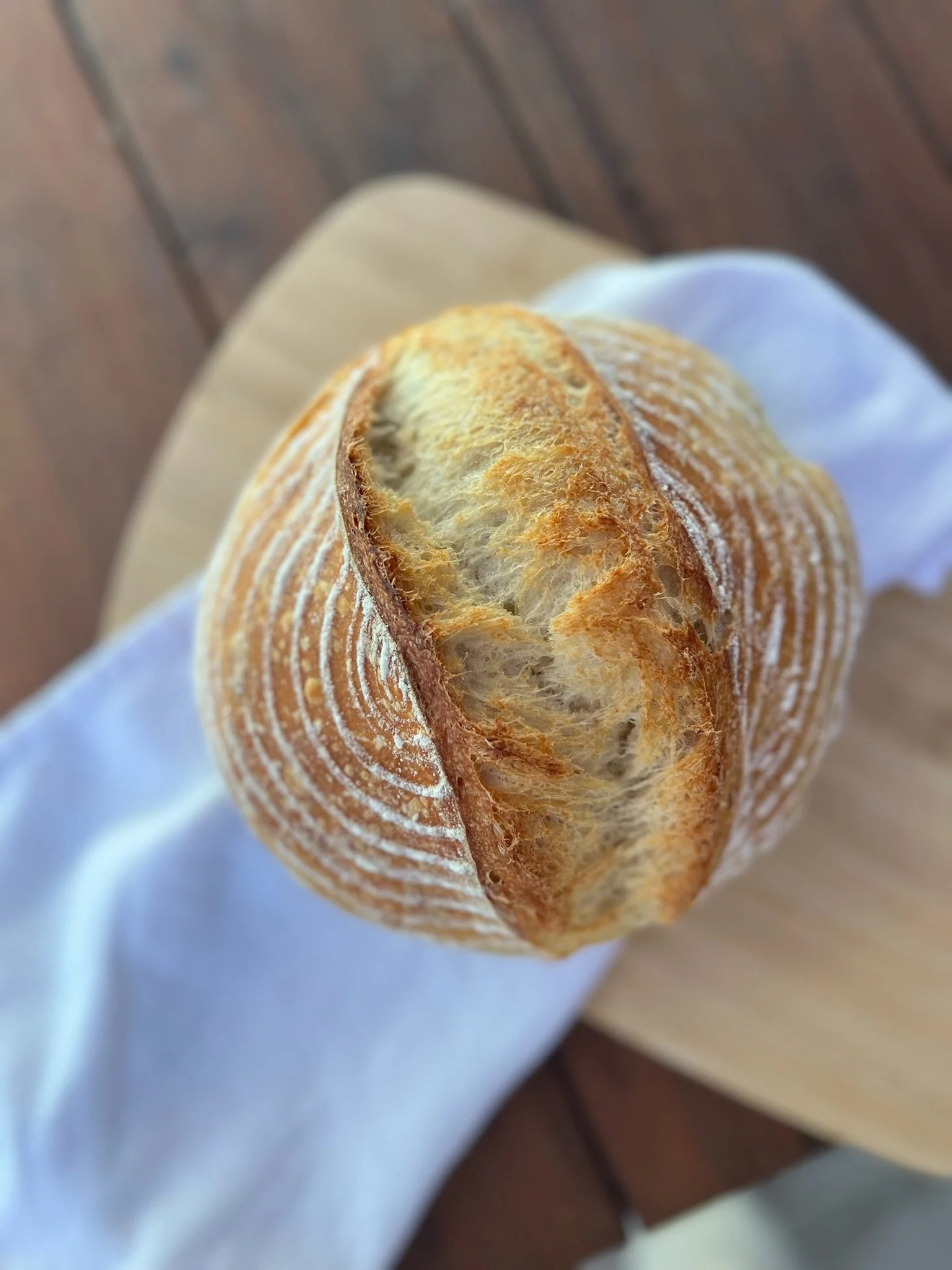Desert Sourdough