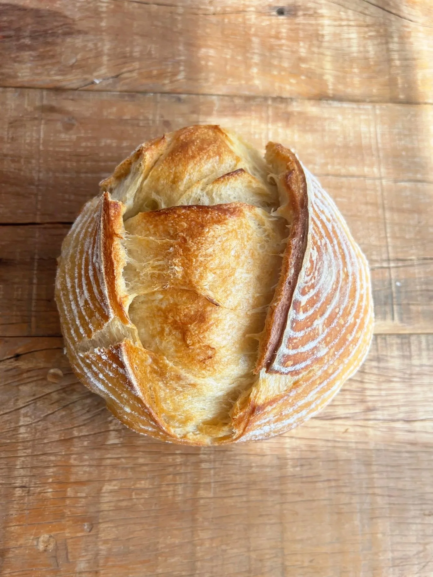 Desert Sourdough