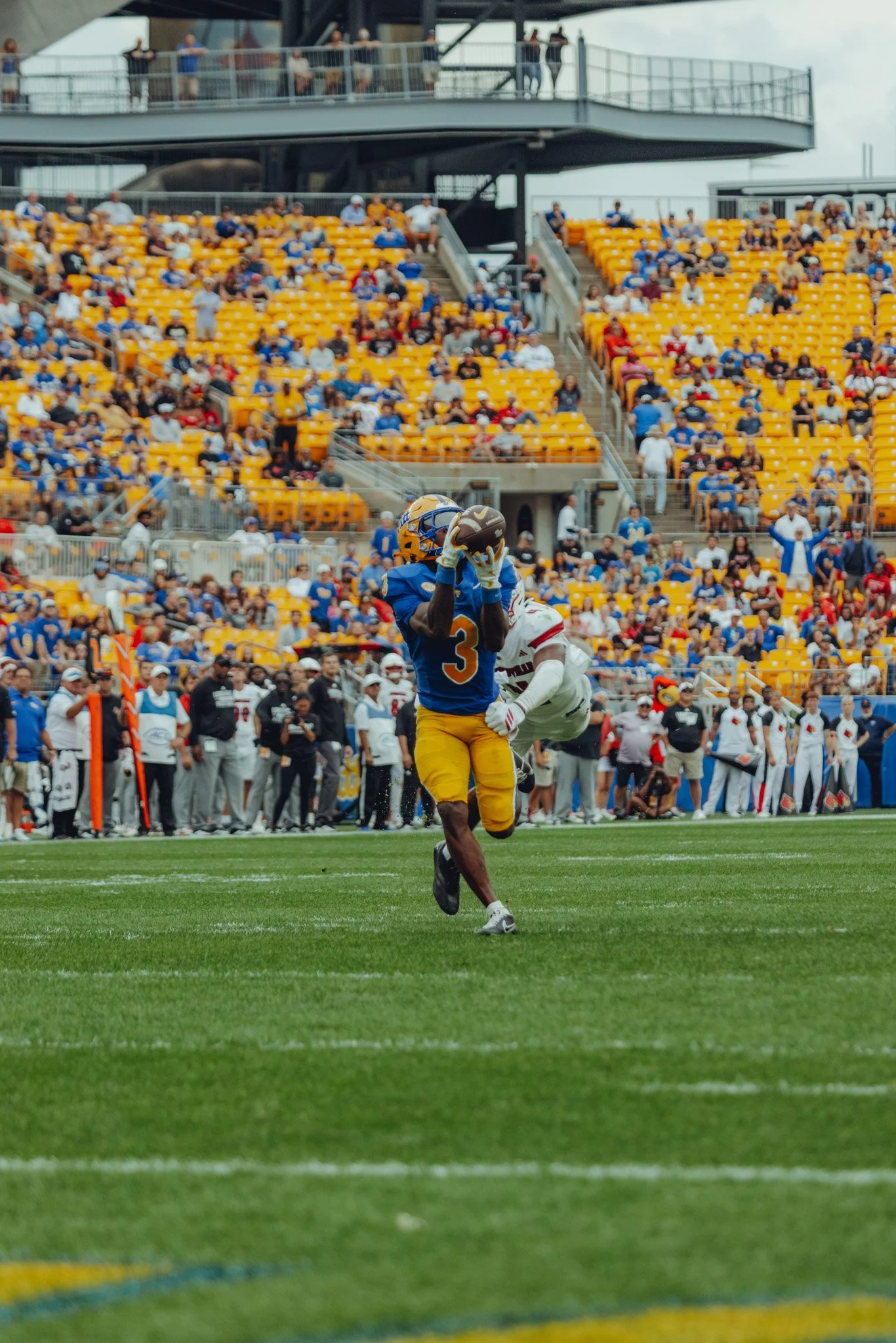 hicks catch v louis, maybe.jpg