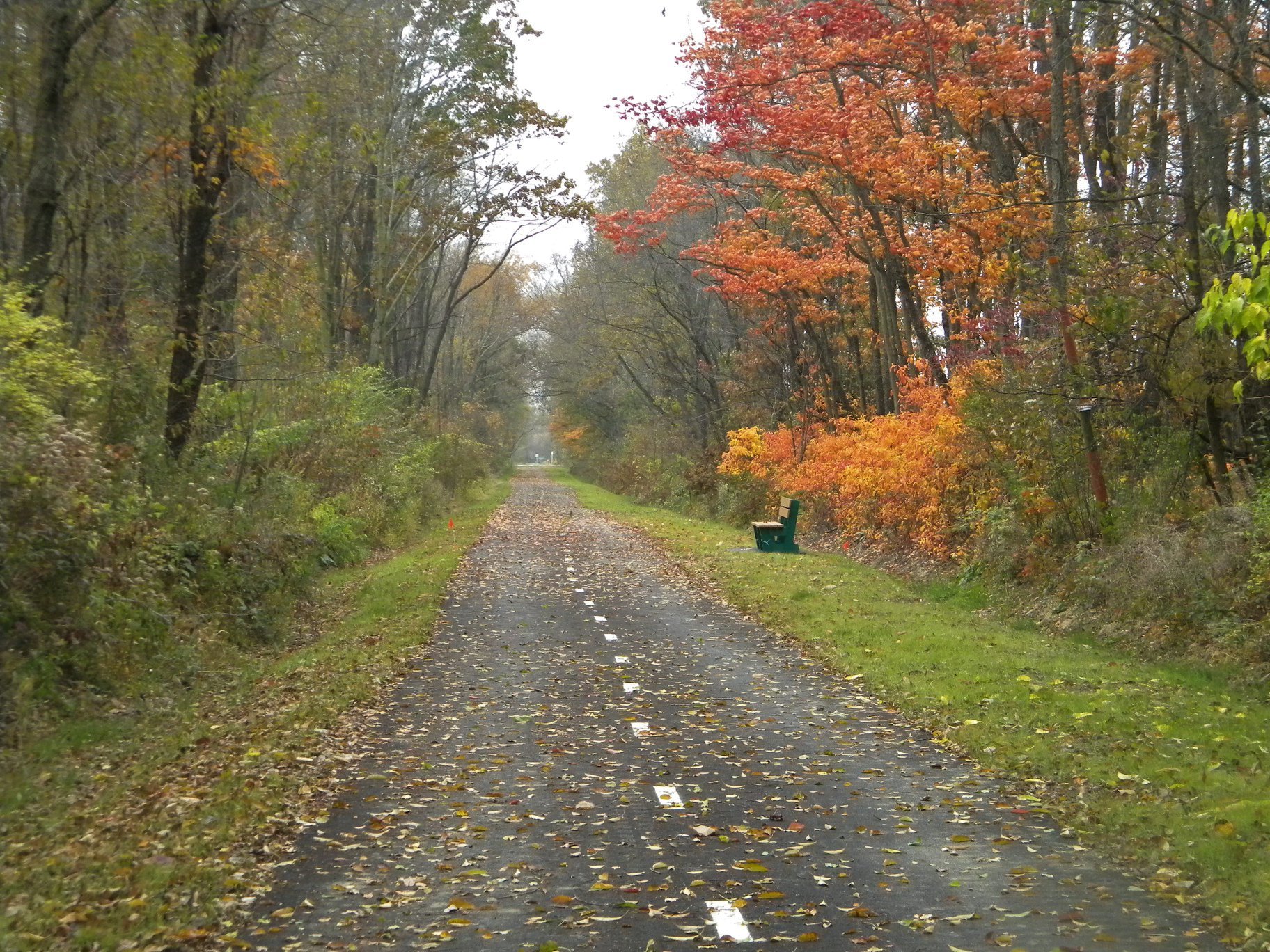 Scenic landscape of a large lake surrounded by rolling green hills and mountains in the background, under cloudy sky.