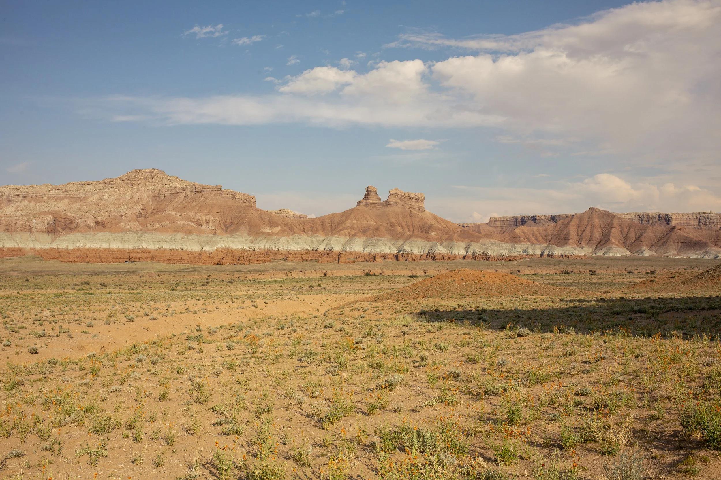A vast desert landscape with reddish-brown layered rock formations under a partly cloudy sky.