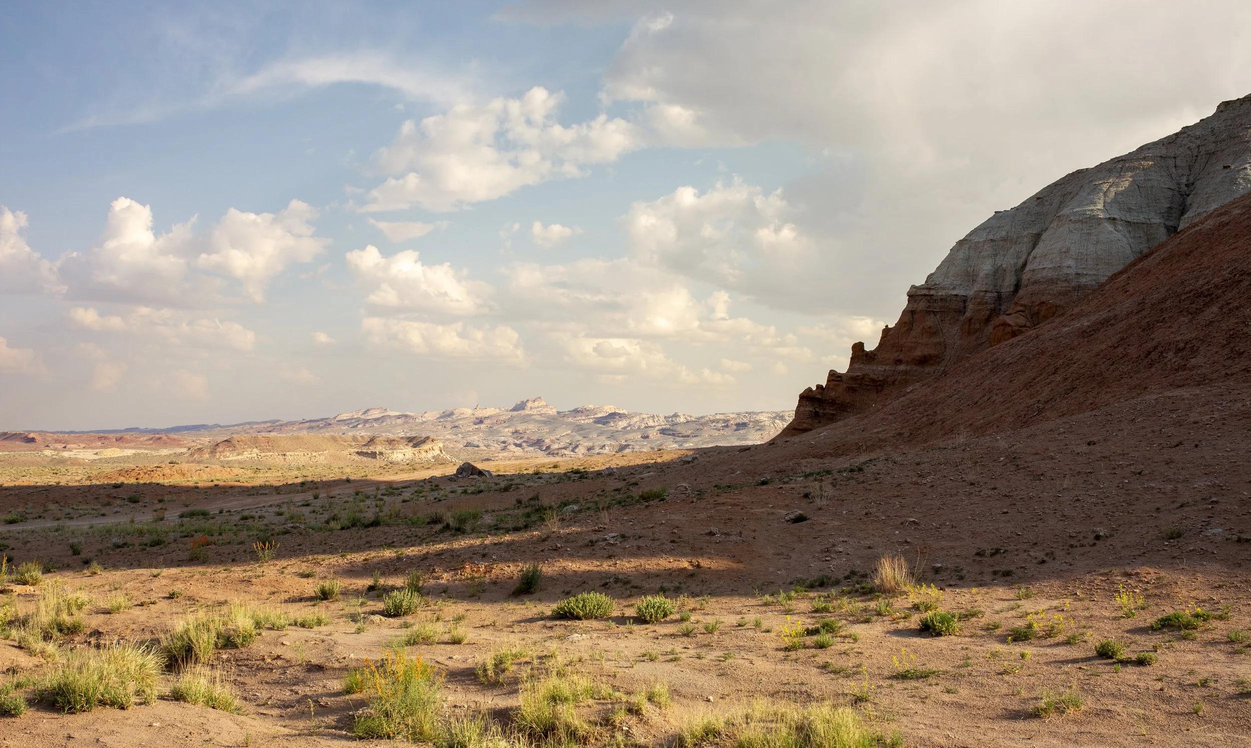 Desert landscape with rocky formations, sparse vegetation, and a partly cloudy sky.