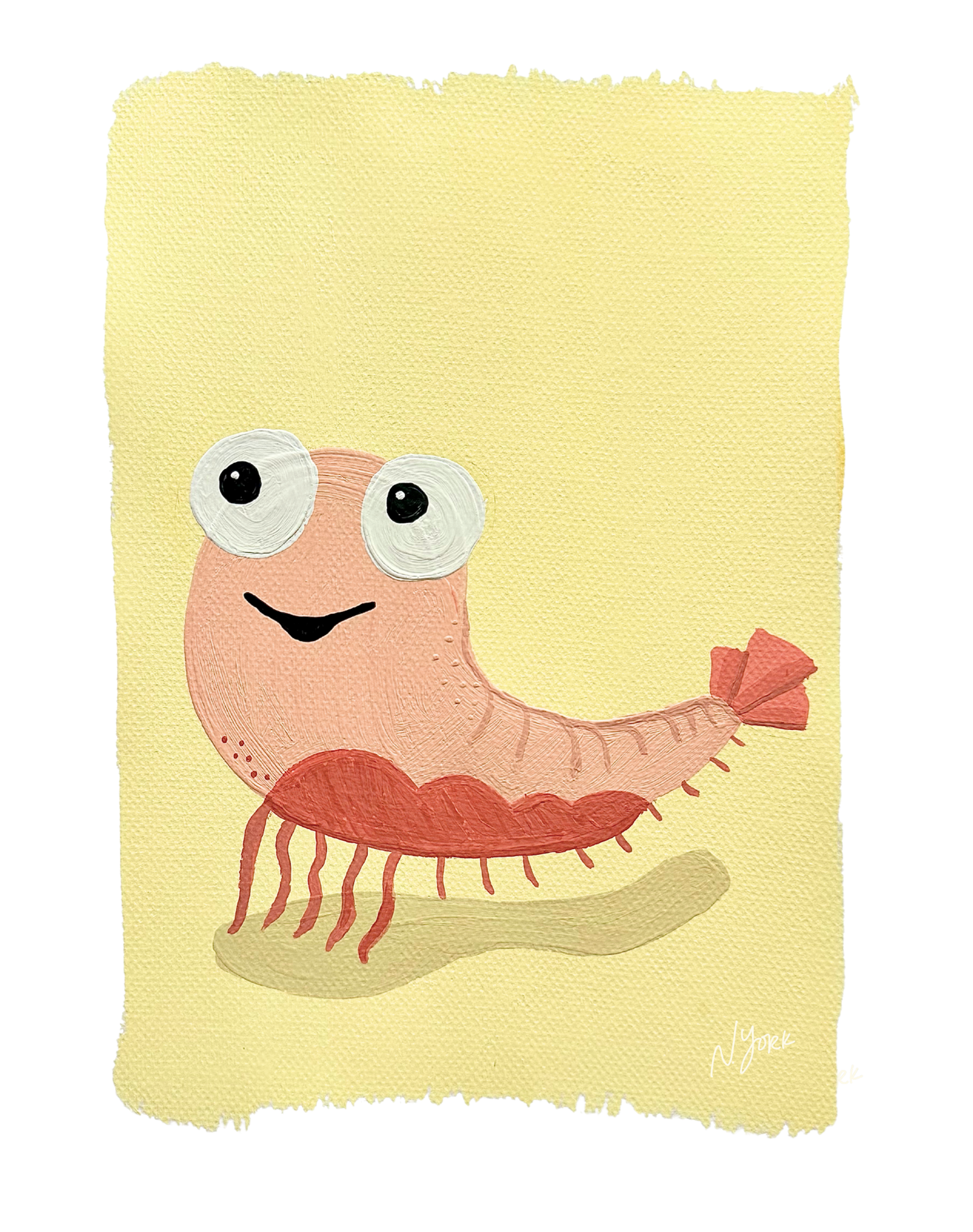 Shrimp Print 11 x 14