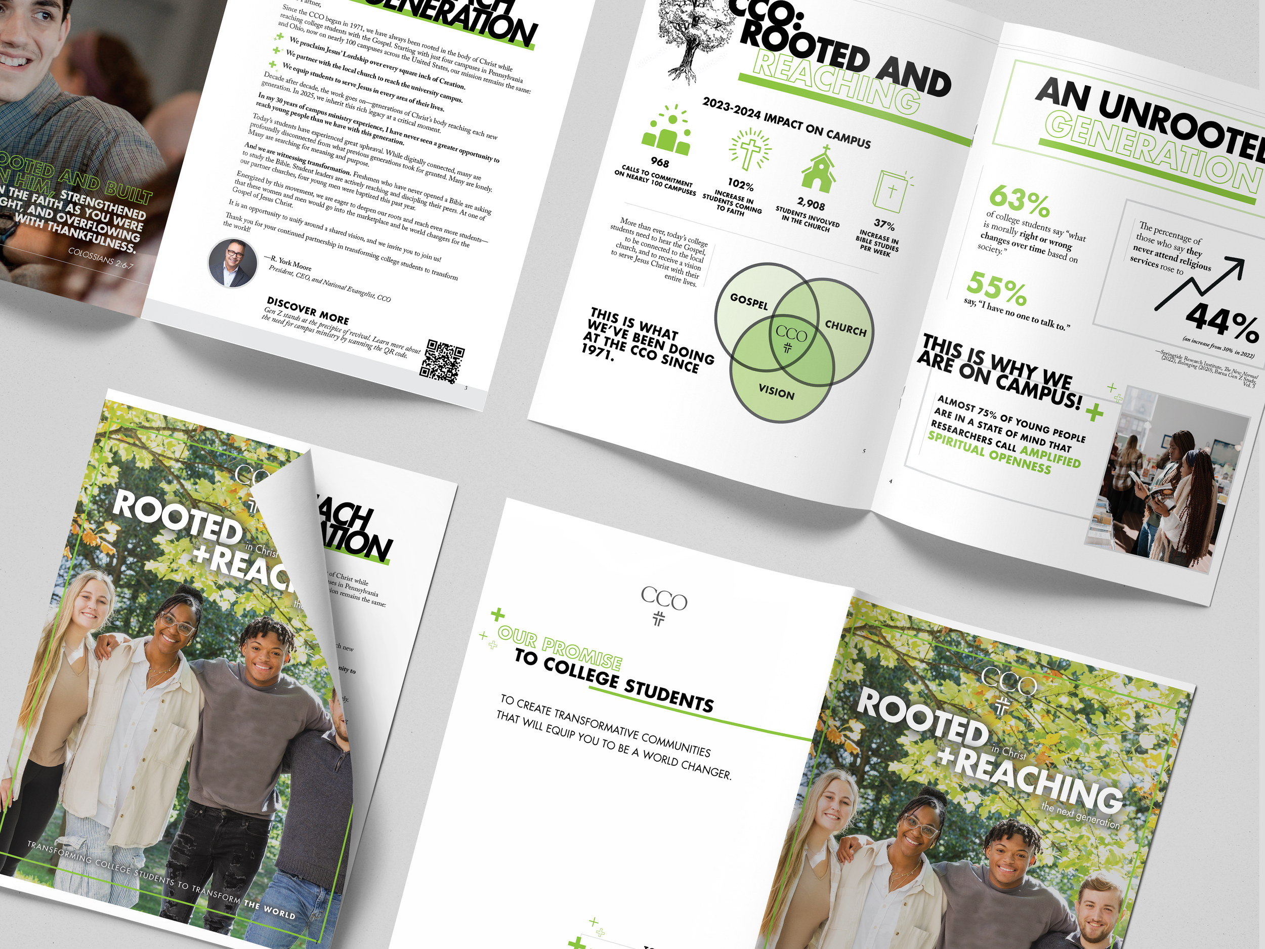 Rooted-and-reaching-project