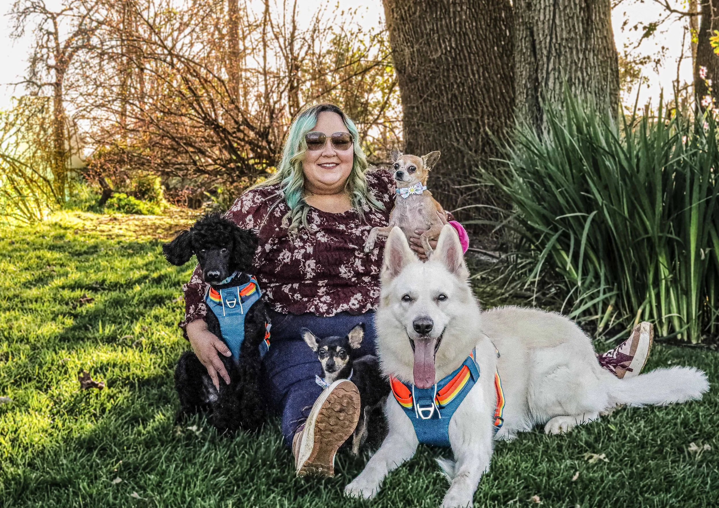 A woman with curly blonde hair and glasses sitting on the grass with four dogs outdoors in a park, with trees and greenery in the background.