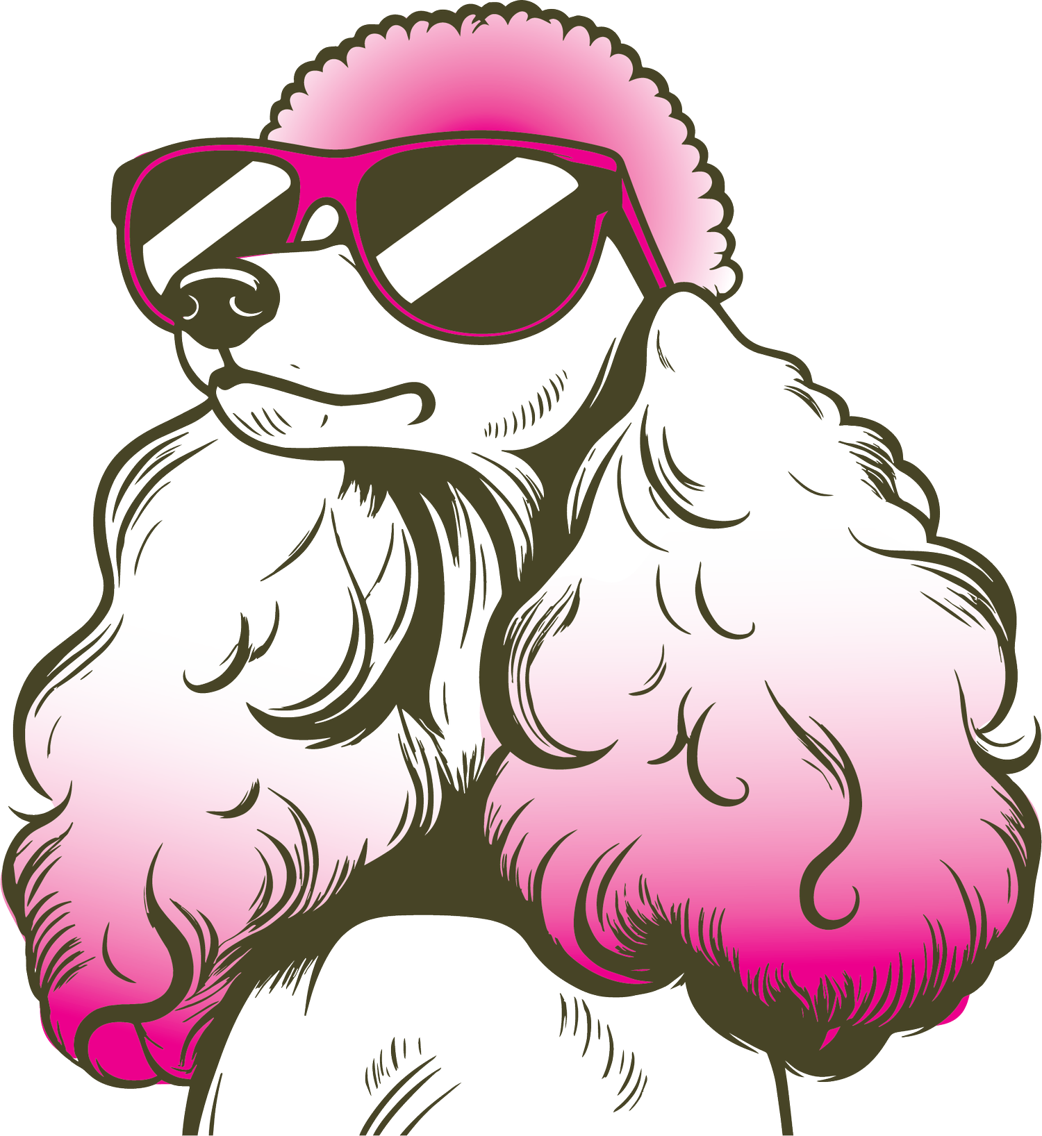 Wags to Riches Pet Grooming &amp; Boarding