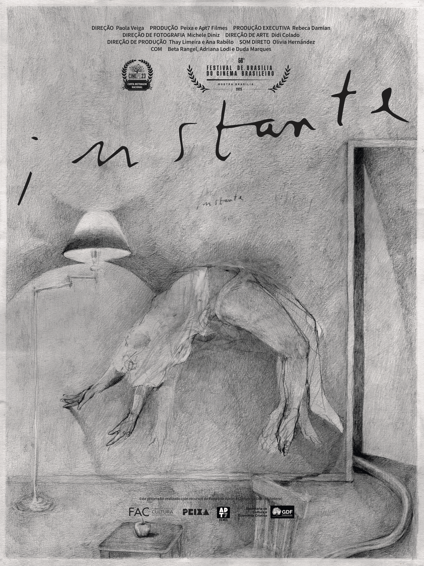 INSTANTE_80por60cm_mostra brasilia.png