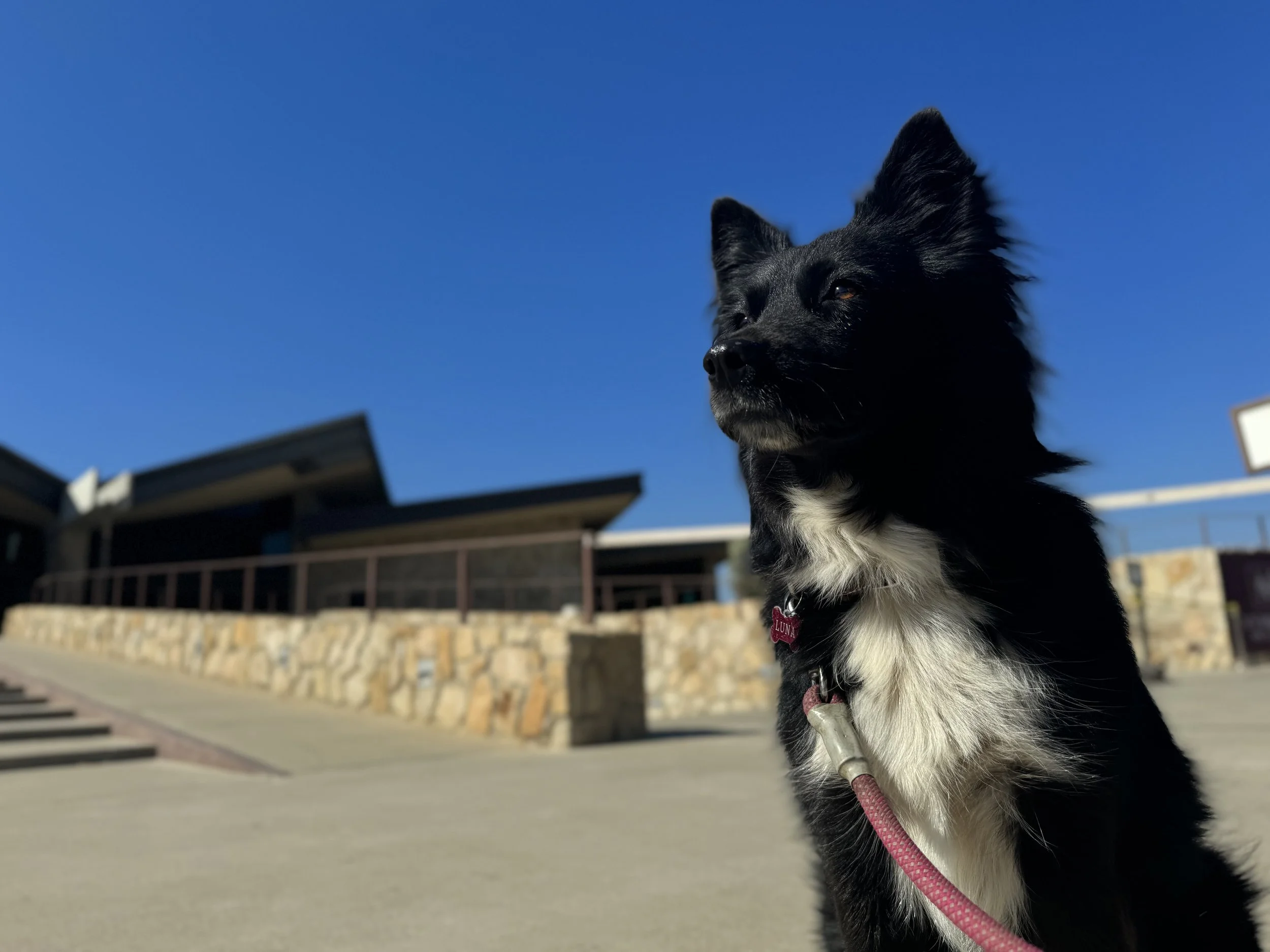 FCVG – Festival de Cine del Valle de Guadalupe IMG_0018.jpeg
