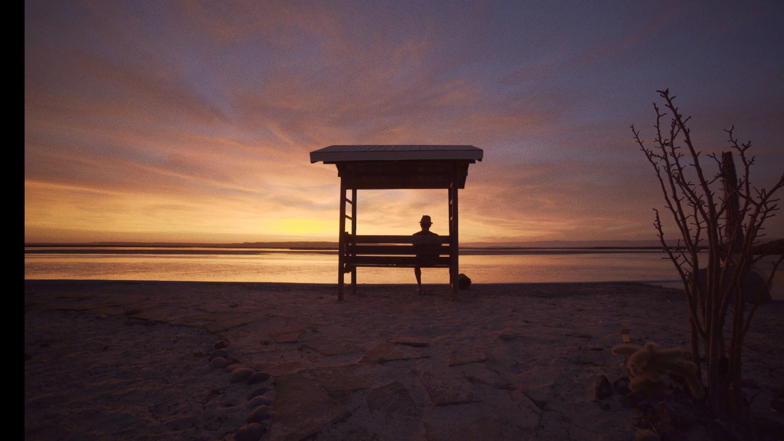Festival de Cine del Valle de Guadalupe Surgencia ATARDECER BENITO.jpg