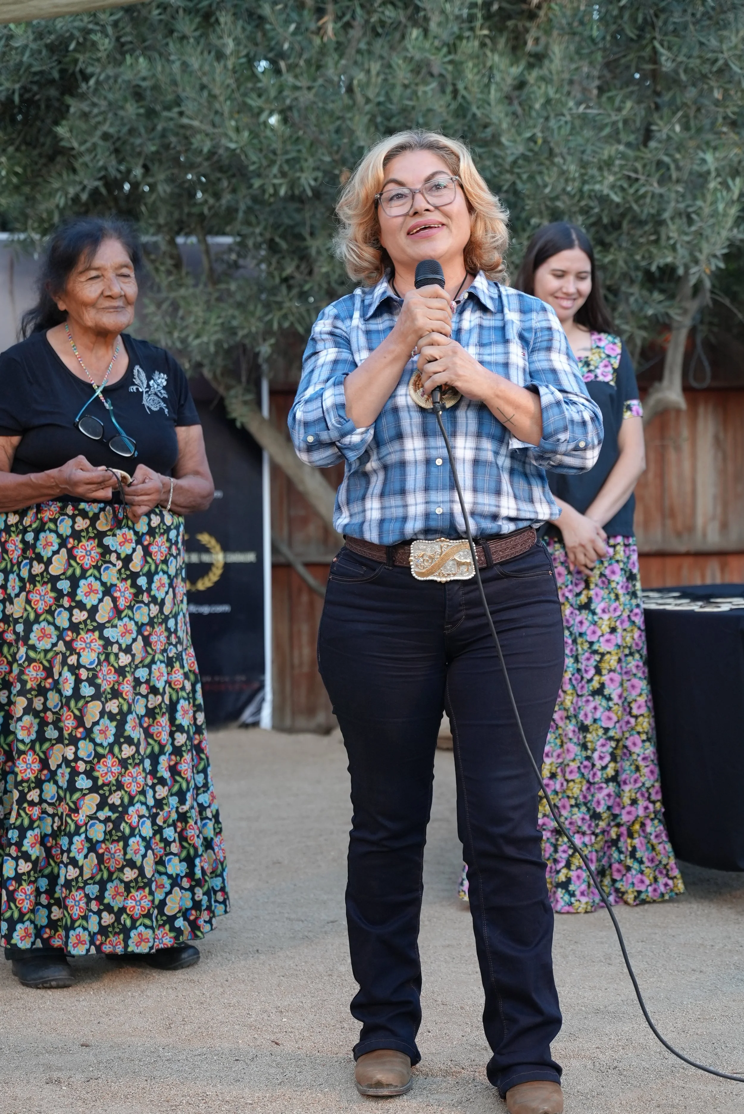 Festival de Cine del Valle de Guadalupe® DSC00306.JPG