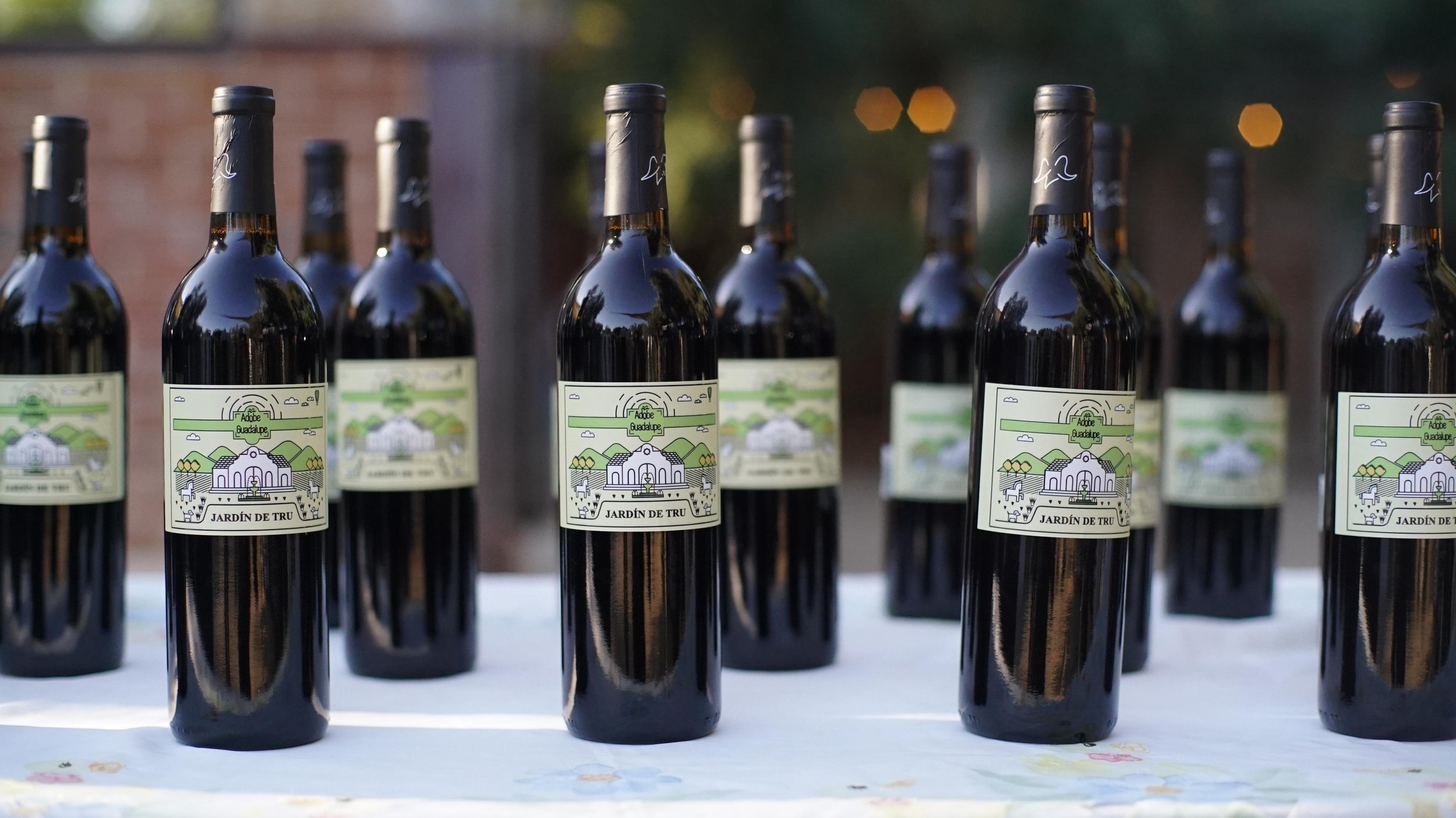 Festival de Cine del Valle de Guadalupe®   2025-10-08 at 14.18.54.jpeg